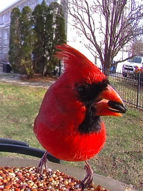 Community photo by Mark Wralstad | Virginia Beach, VA, USA