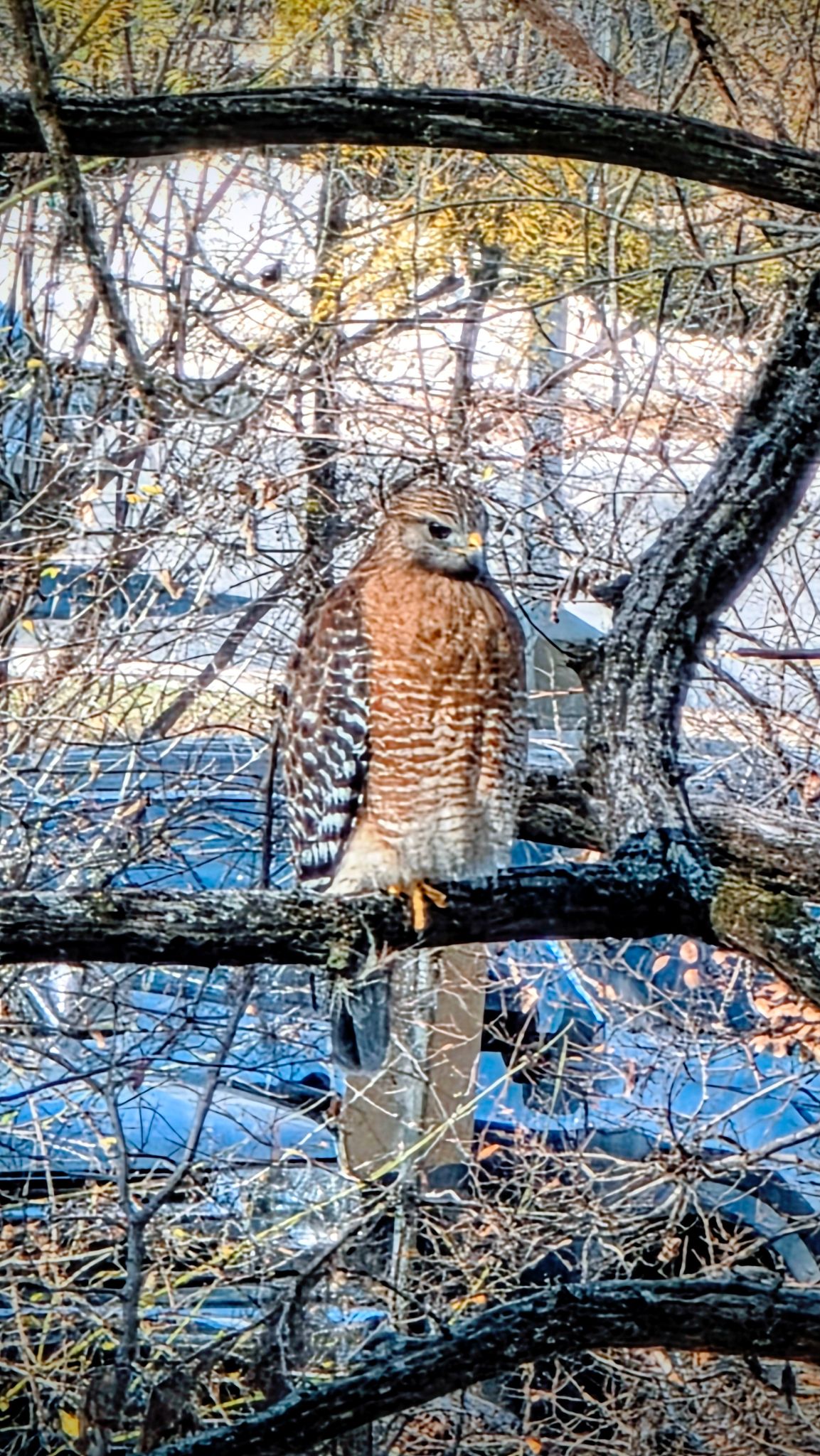 Community photo by David