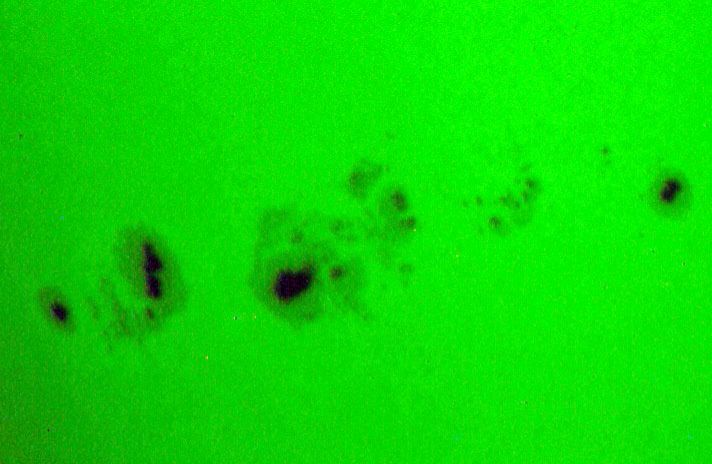 Community photo by Victor Rogus | Sedona, Arizona