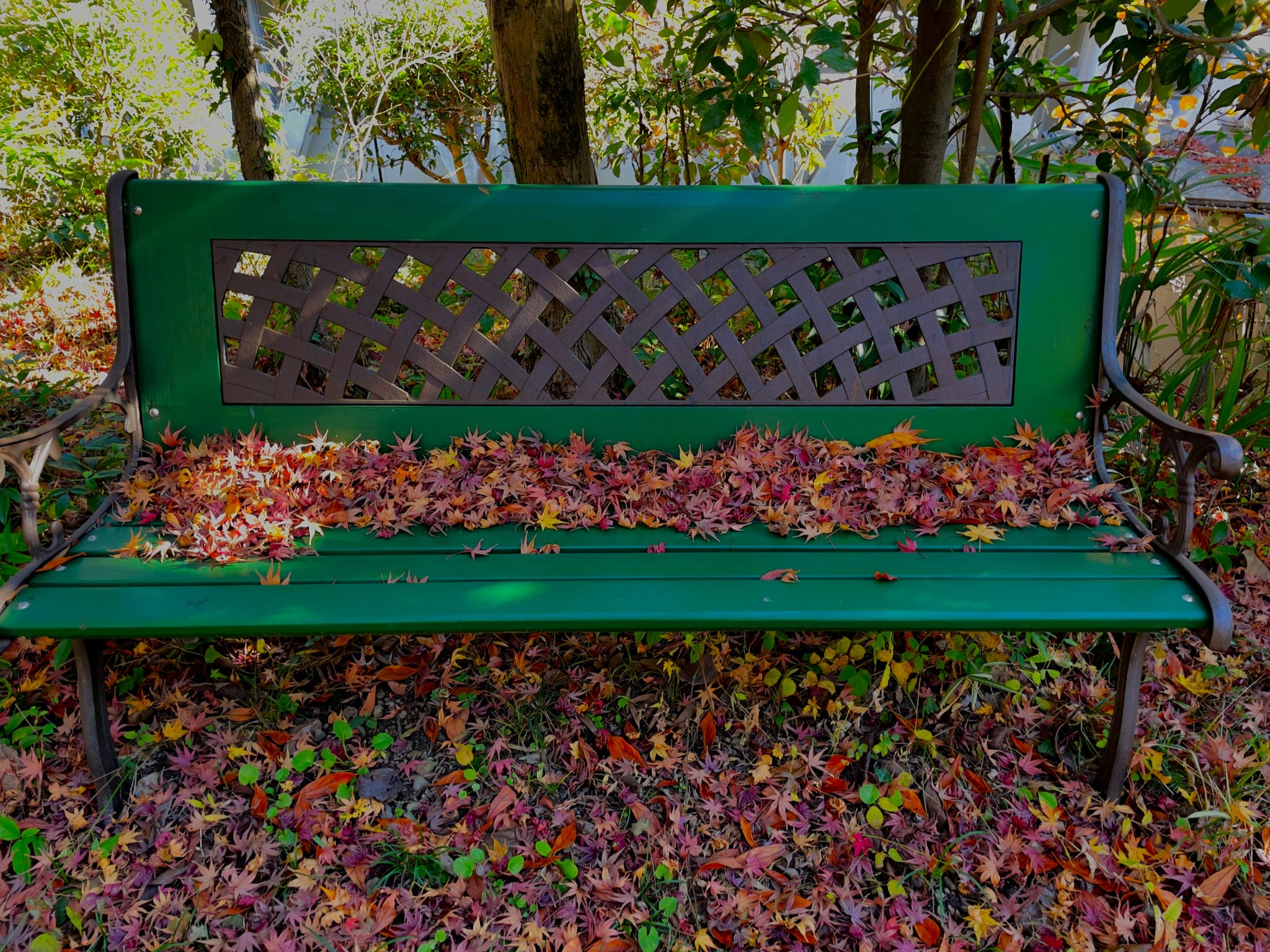 Community photo by Paul