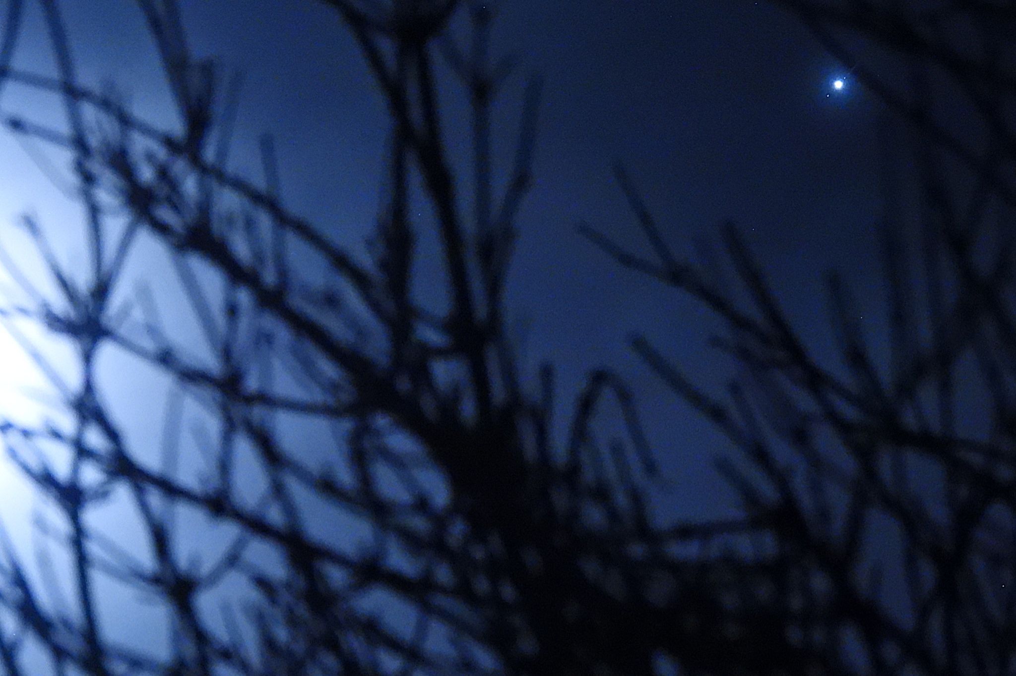 Community photo by Judith Gaffney | Birmingham, UK