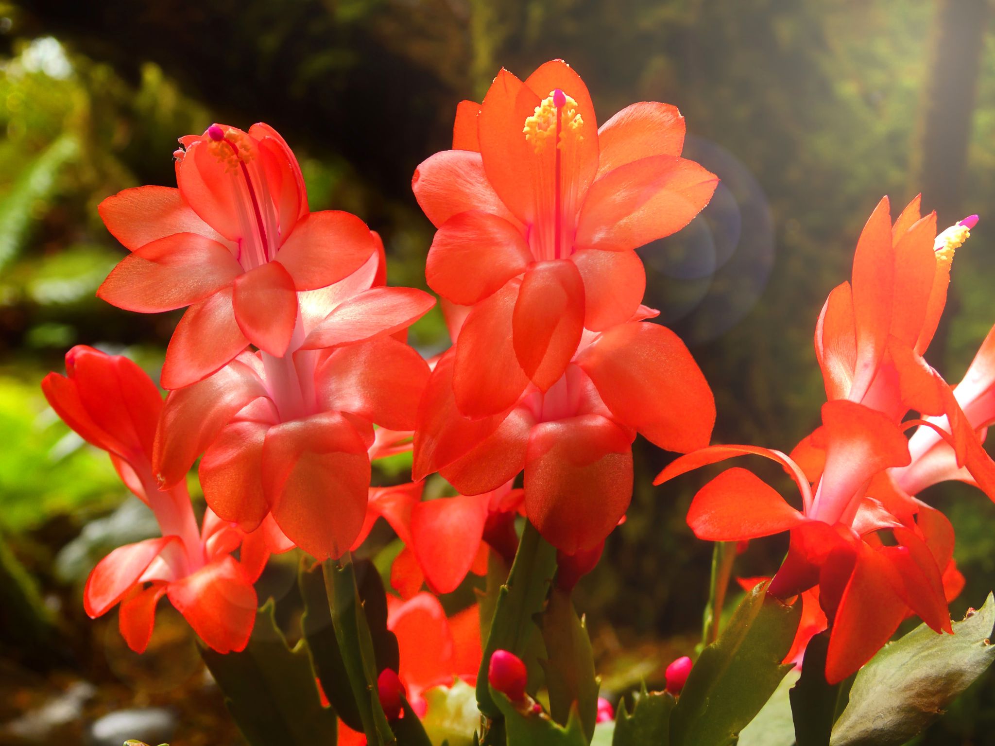 Community photo by Cecille