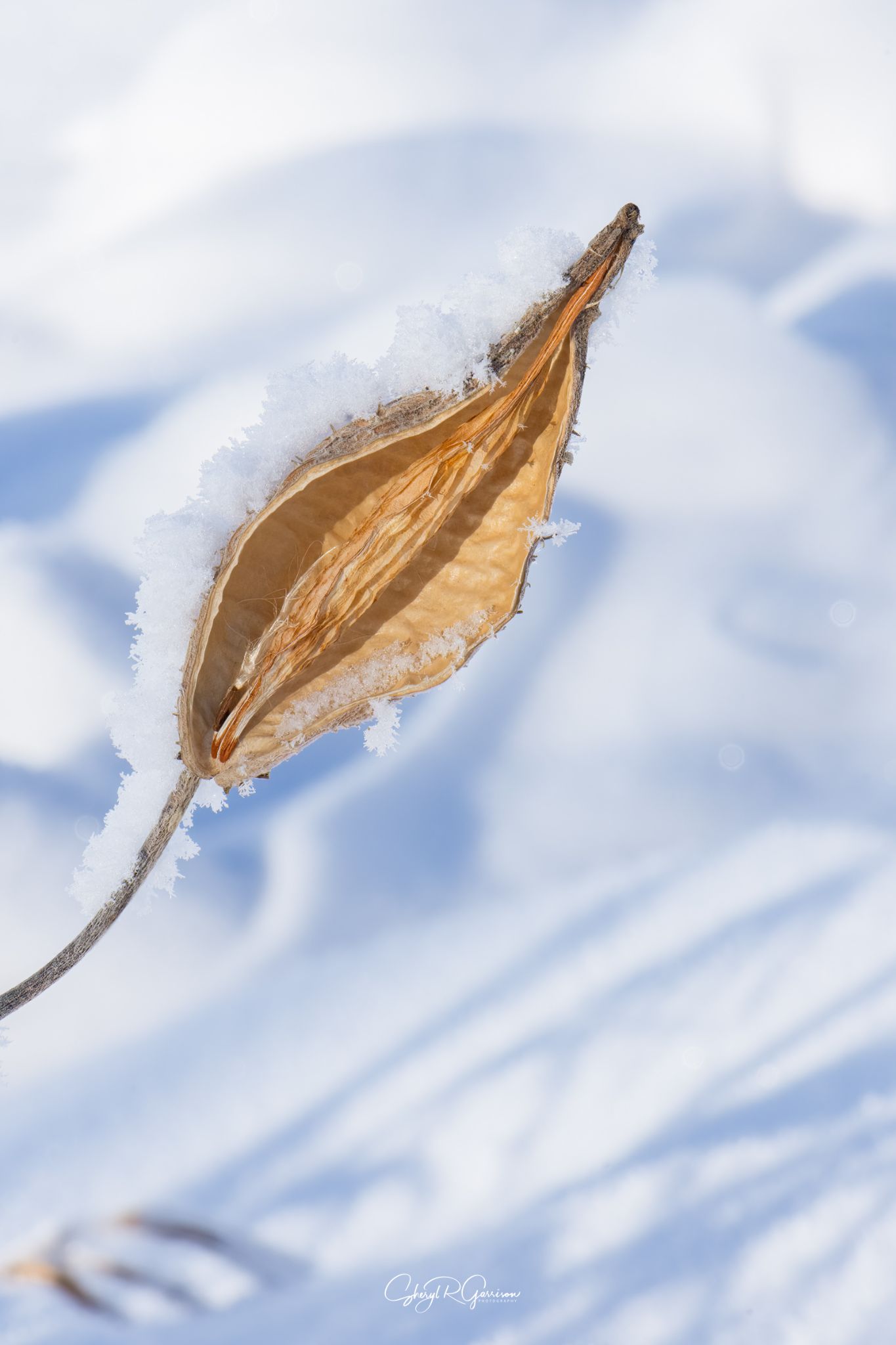 Community photo by Sheryl R