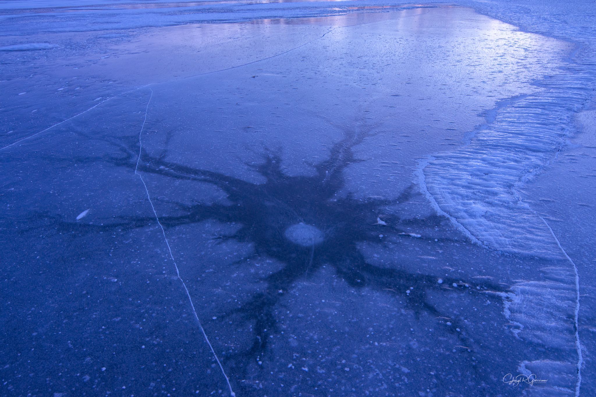 Community photo by Sheryl R Garrison | Southern Alberta, Canada