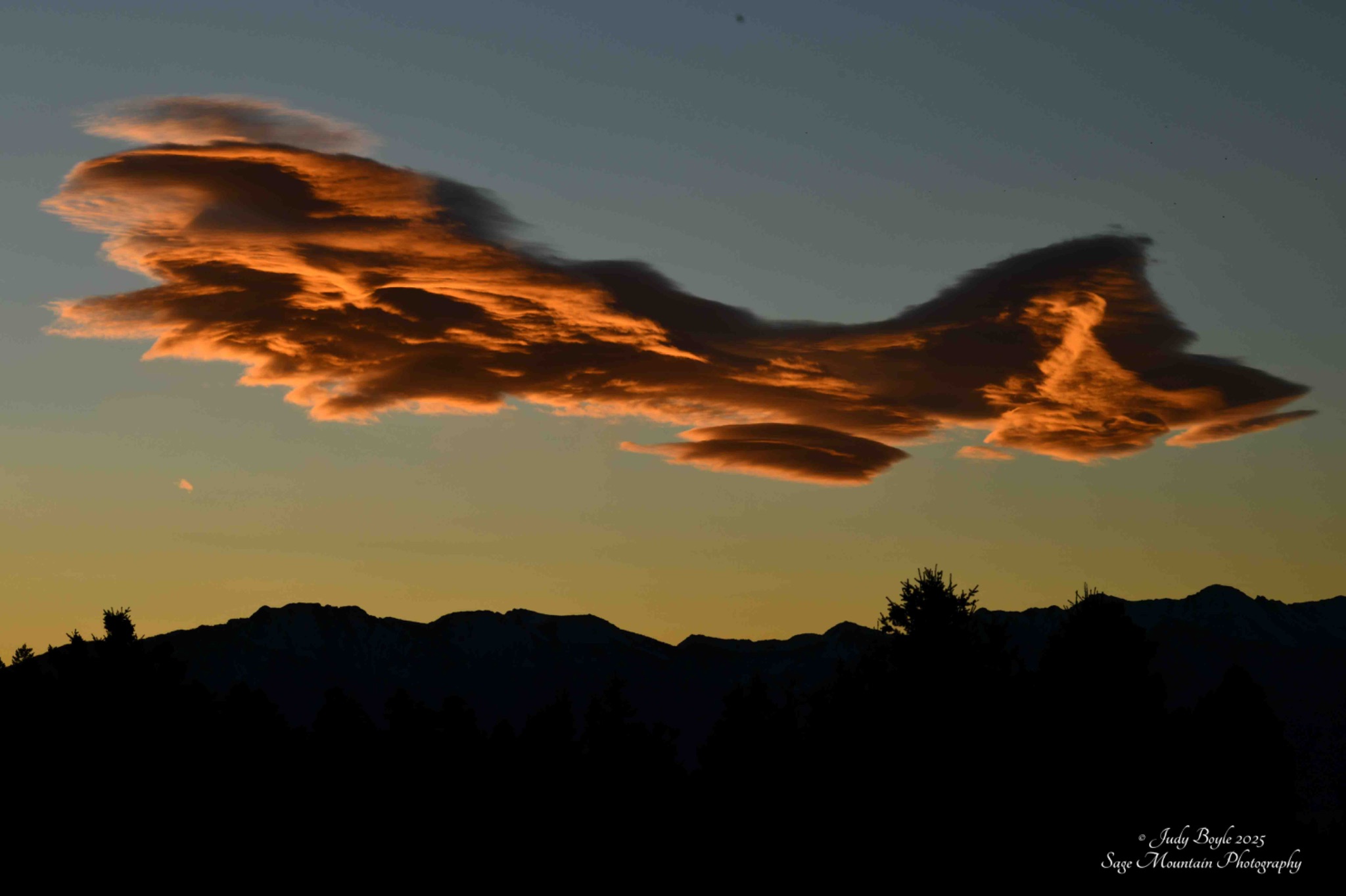 Community photo by Judy