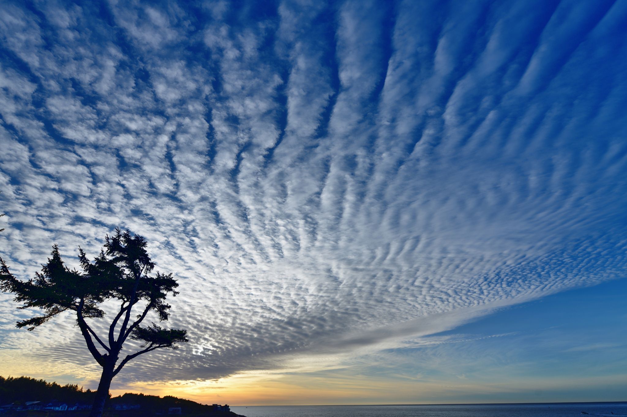 Community photo by Cecille Kennedy | Depoe Bay, Oregon