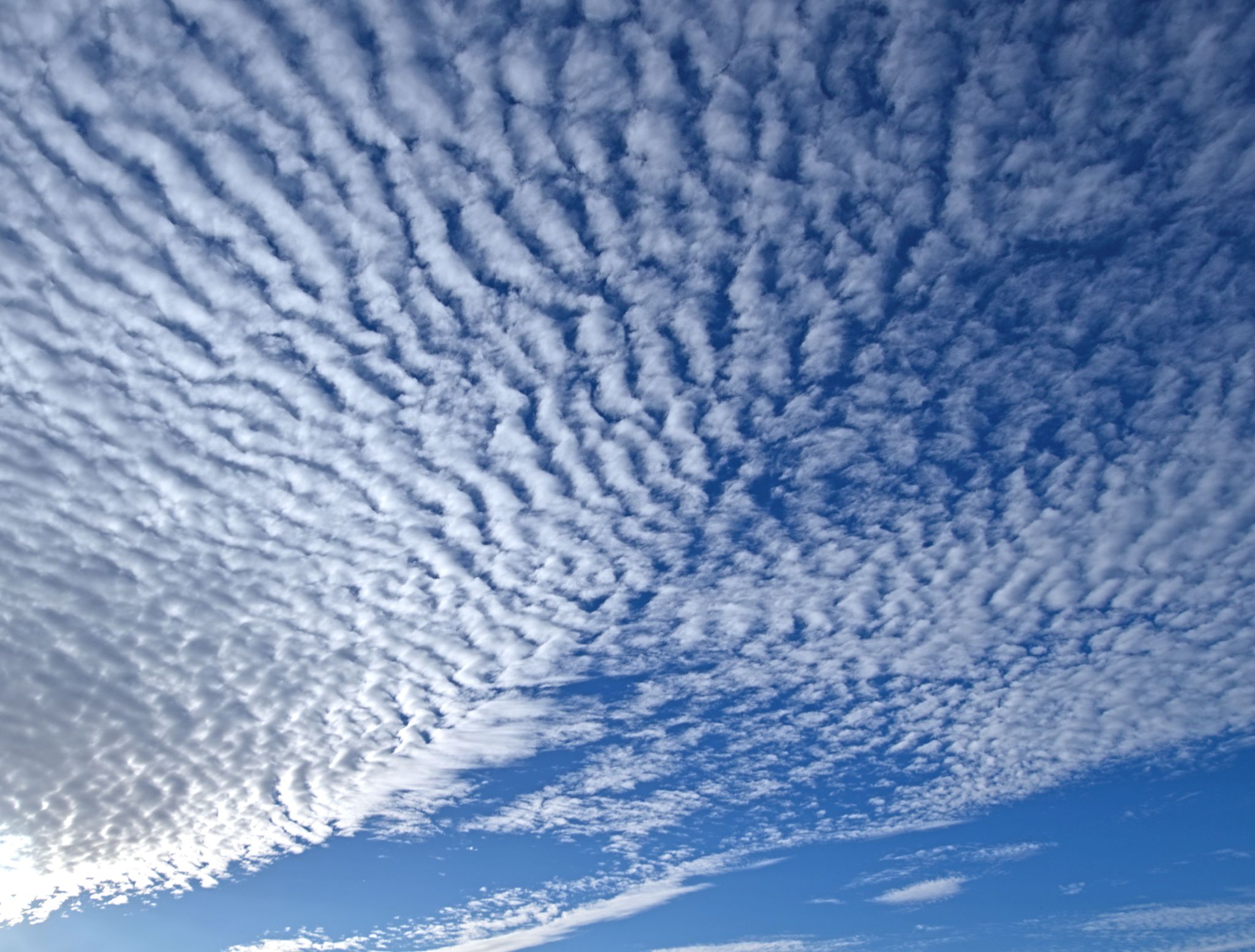 Community photo by Cecille