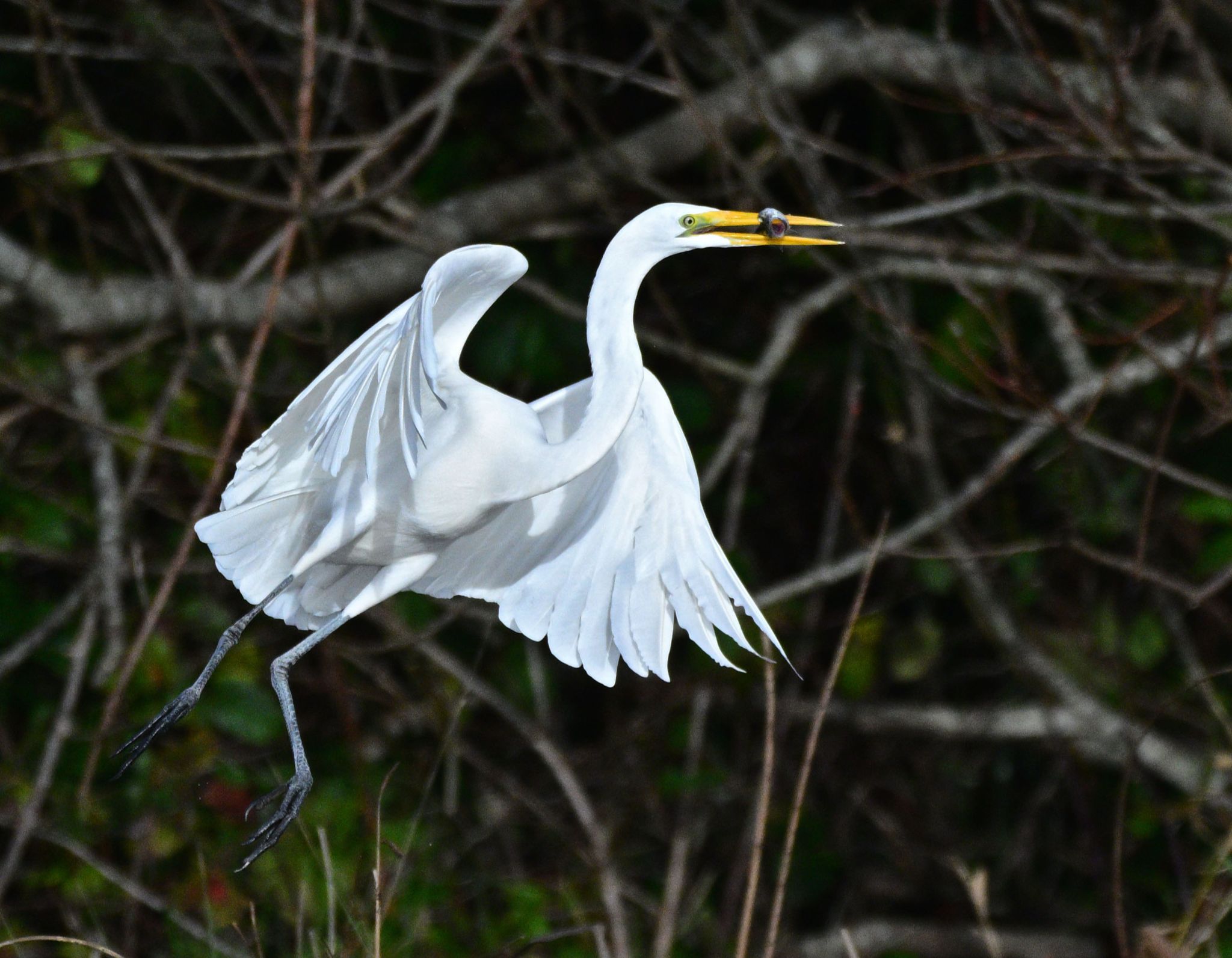 Community photo by Cecille Kennedy | Lincoln City, Oregon