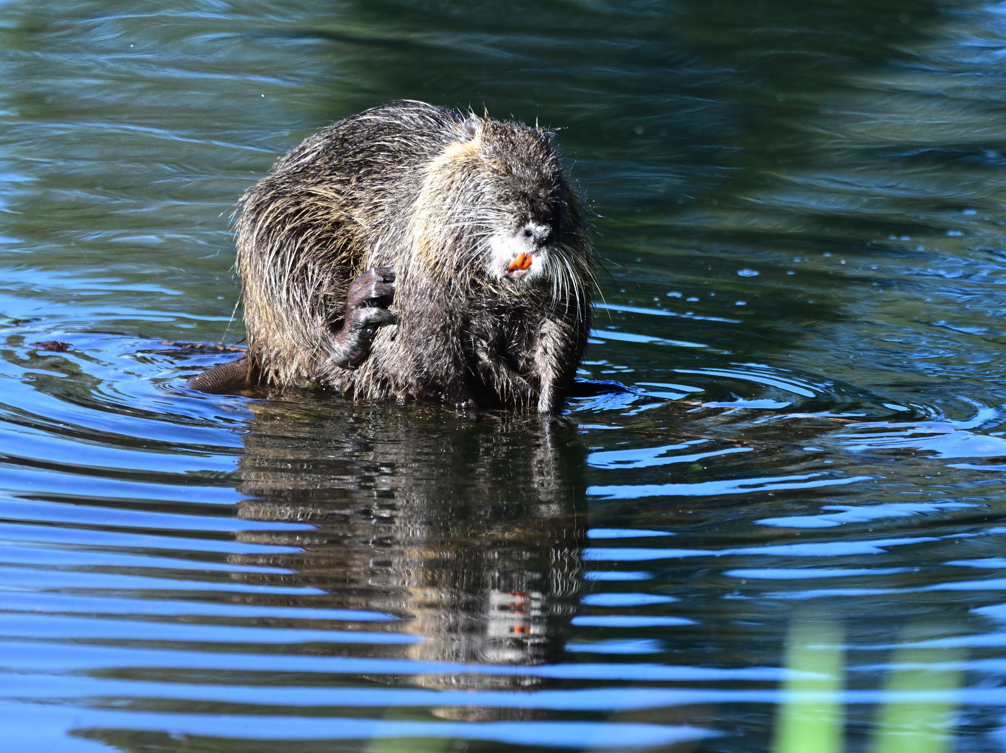 Community photo by Cecille Kennedy | Portland, Oregon