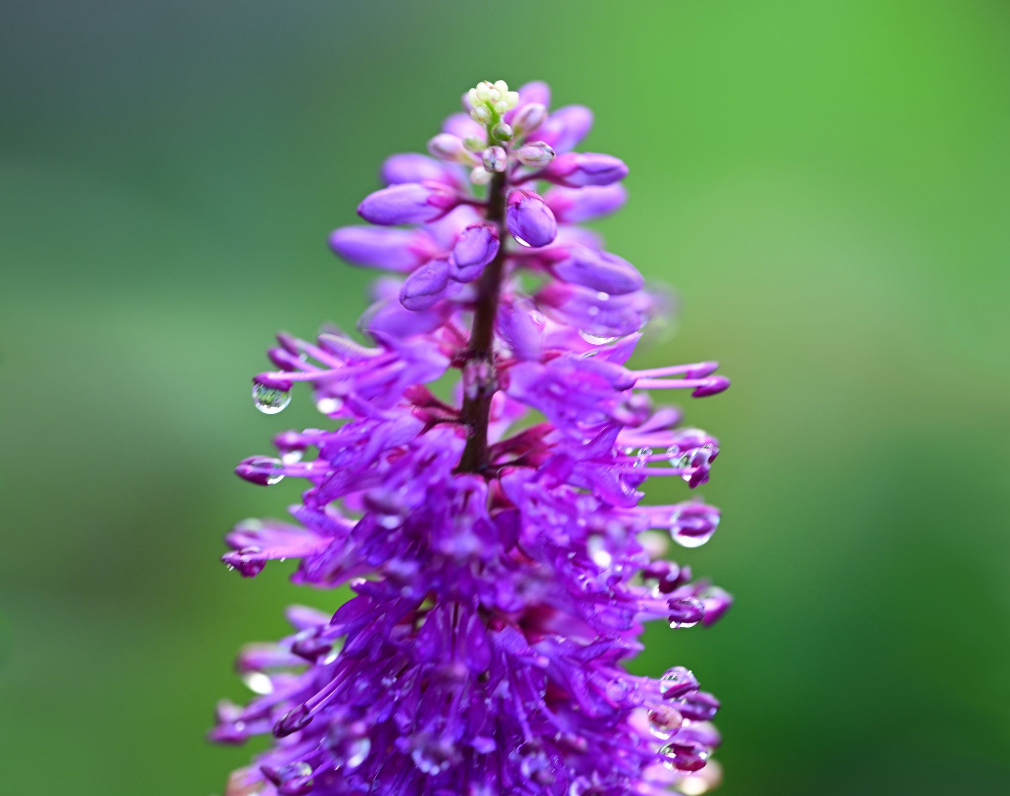 Community photo by Cecille