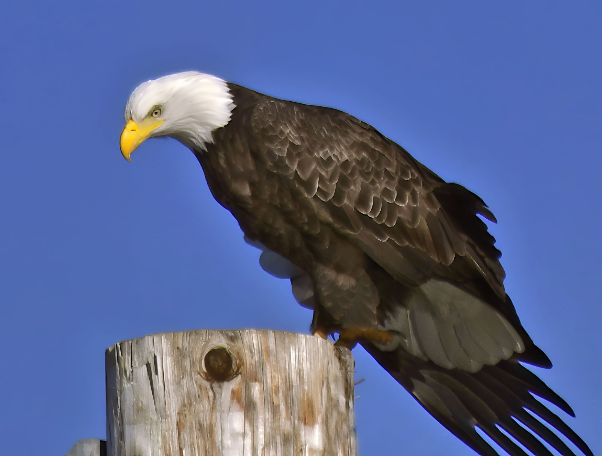 Community photo by Cecille Kennedy | Lincoln City, Oregon