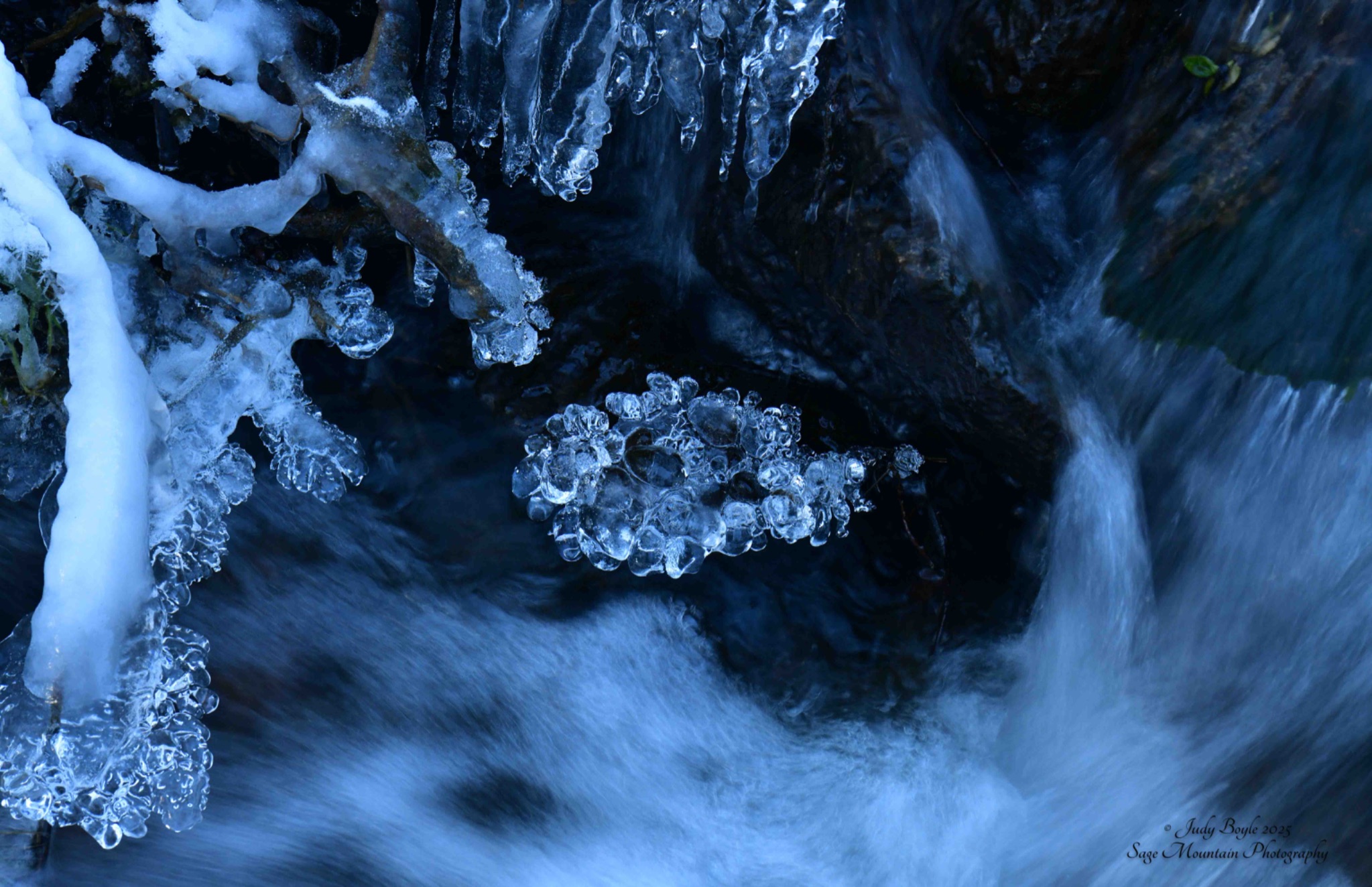Community photo by Judy Boyle | Whitehall, MT USA