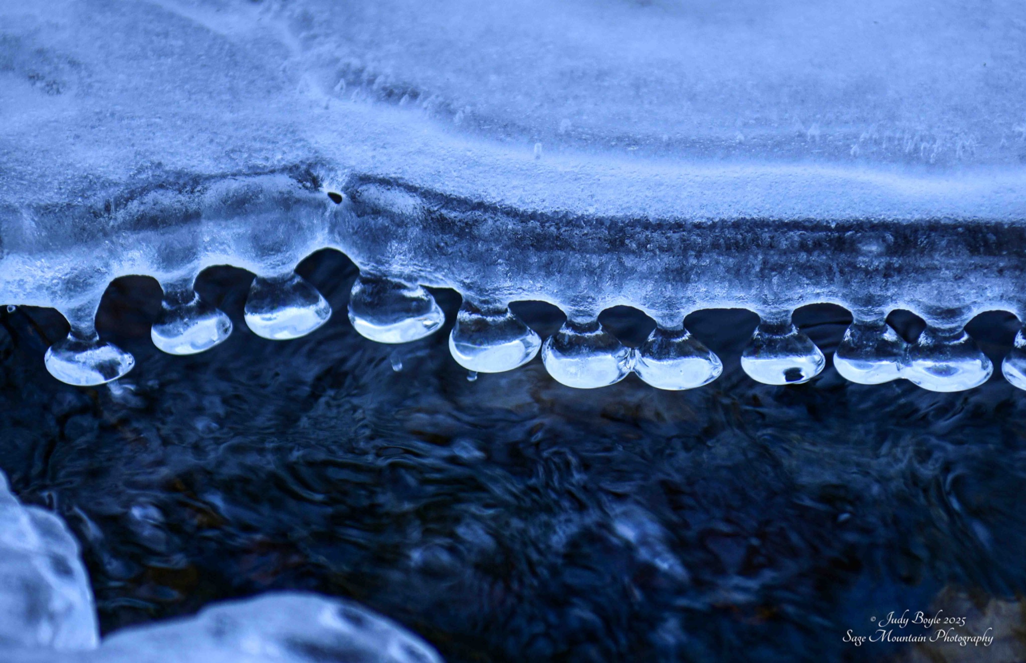 Community photo by Judy