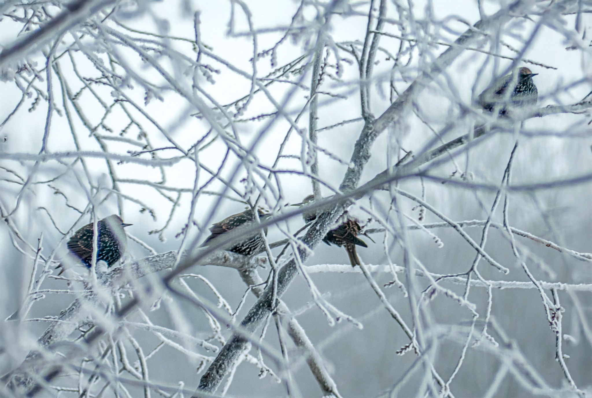 Community photo by Diane