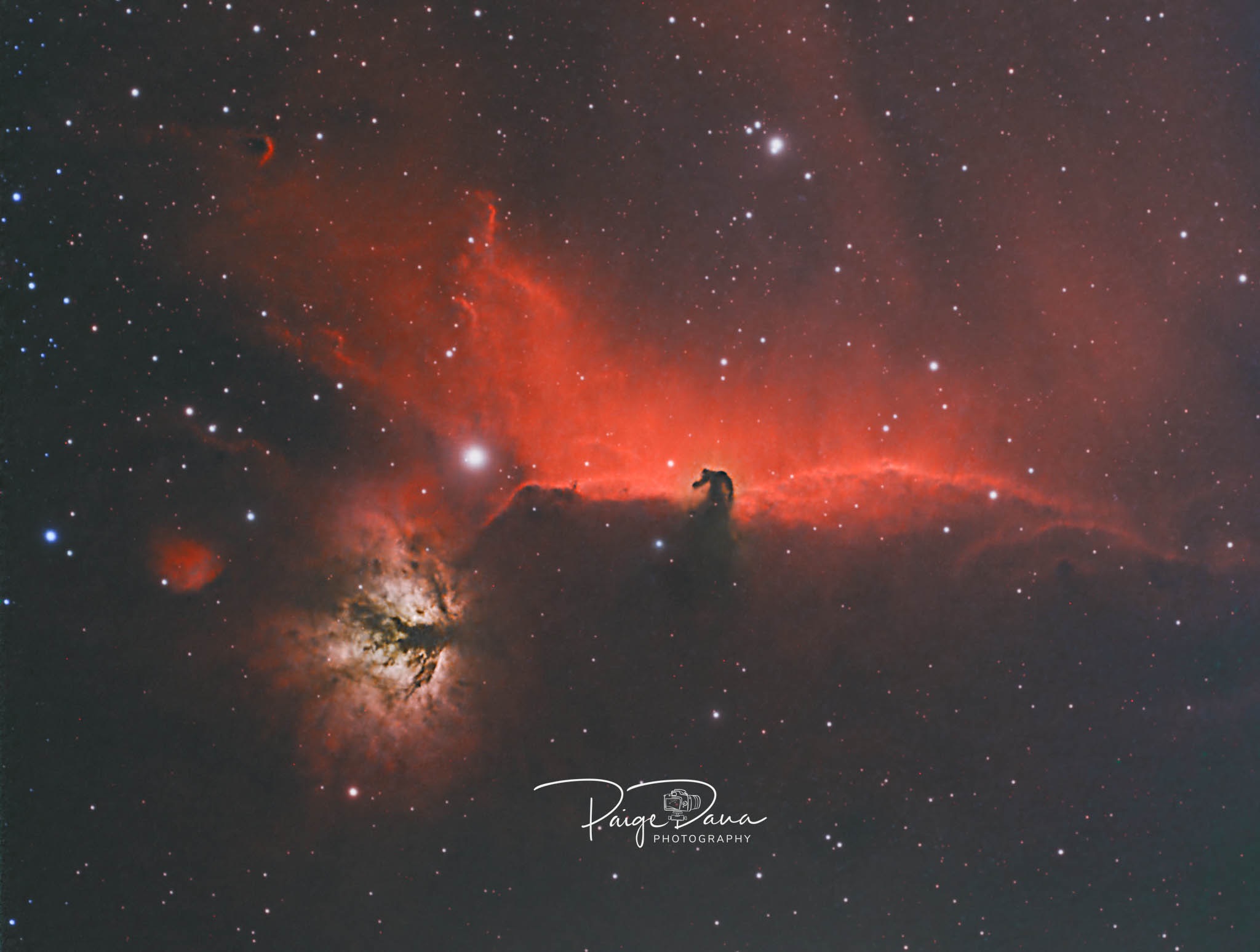 Community photo by Paige Dana | Galloway, NJ USA