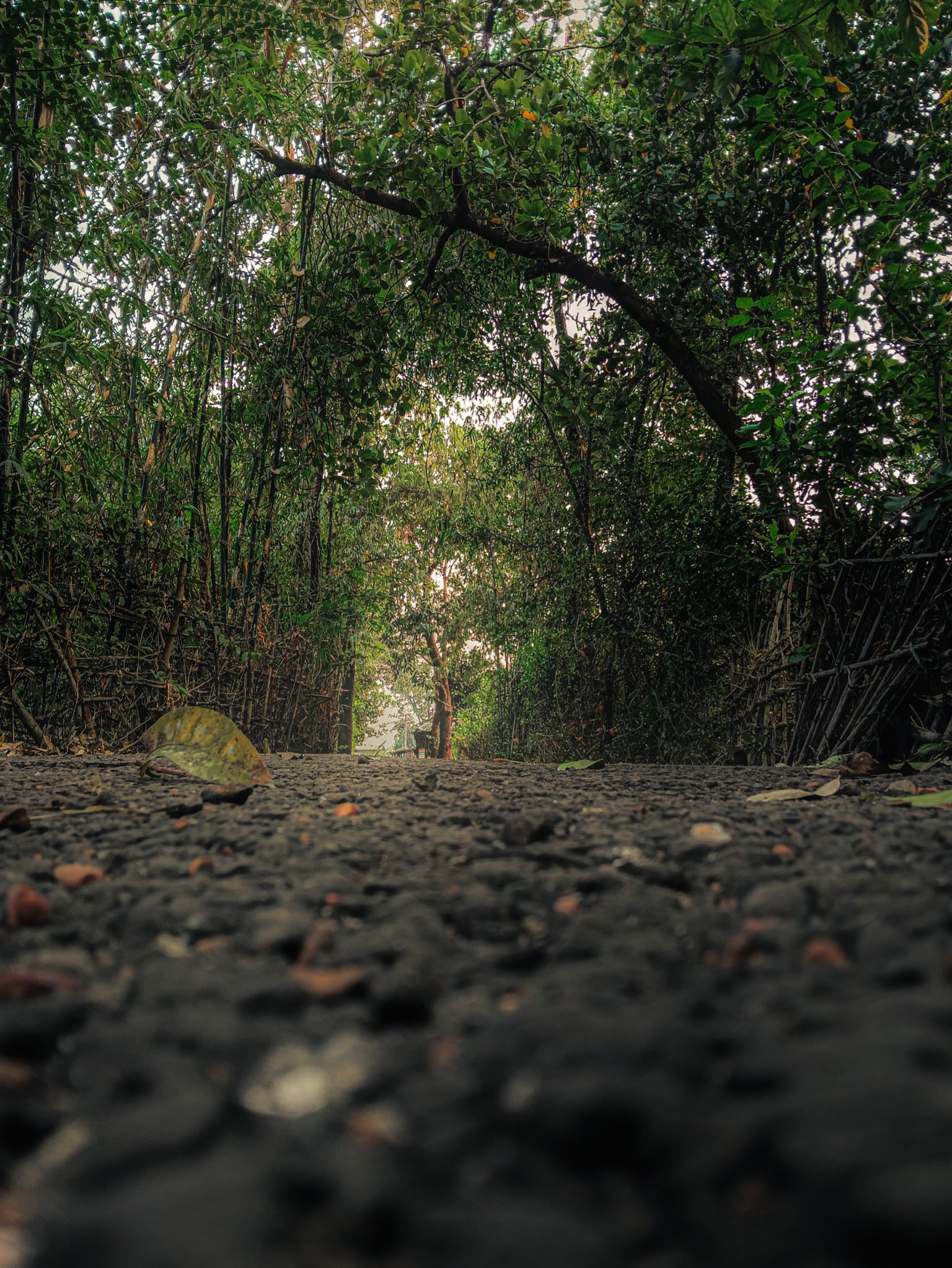 Community photo by Anand