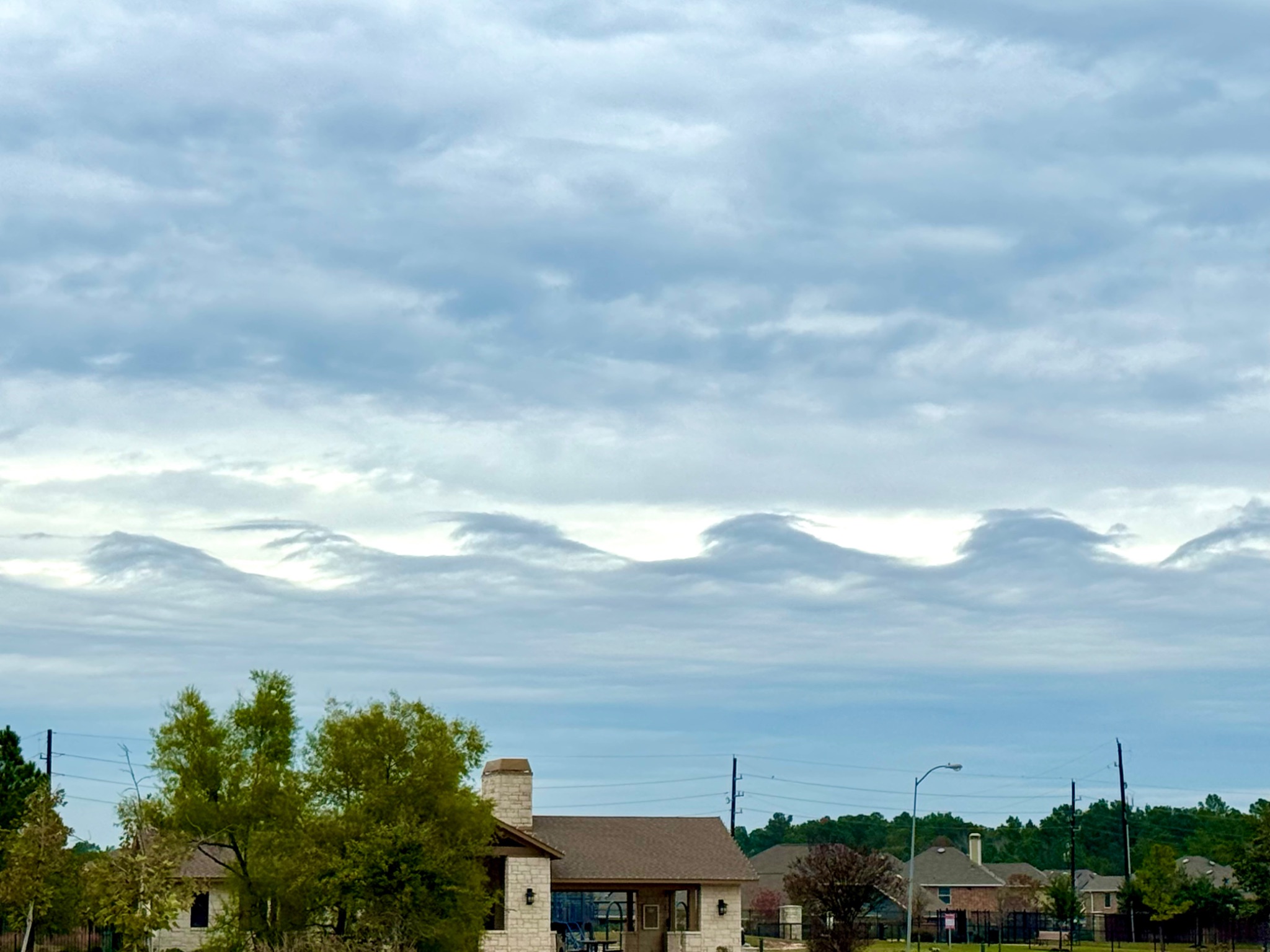Community photo by Pamela Barlow | Spring, Tx USA