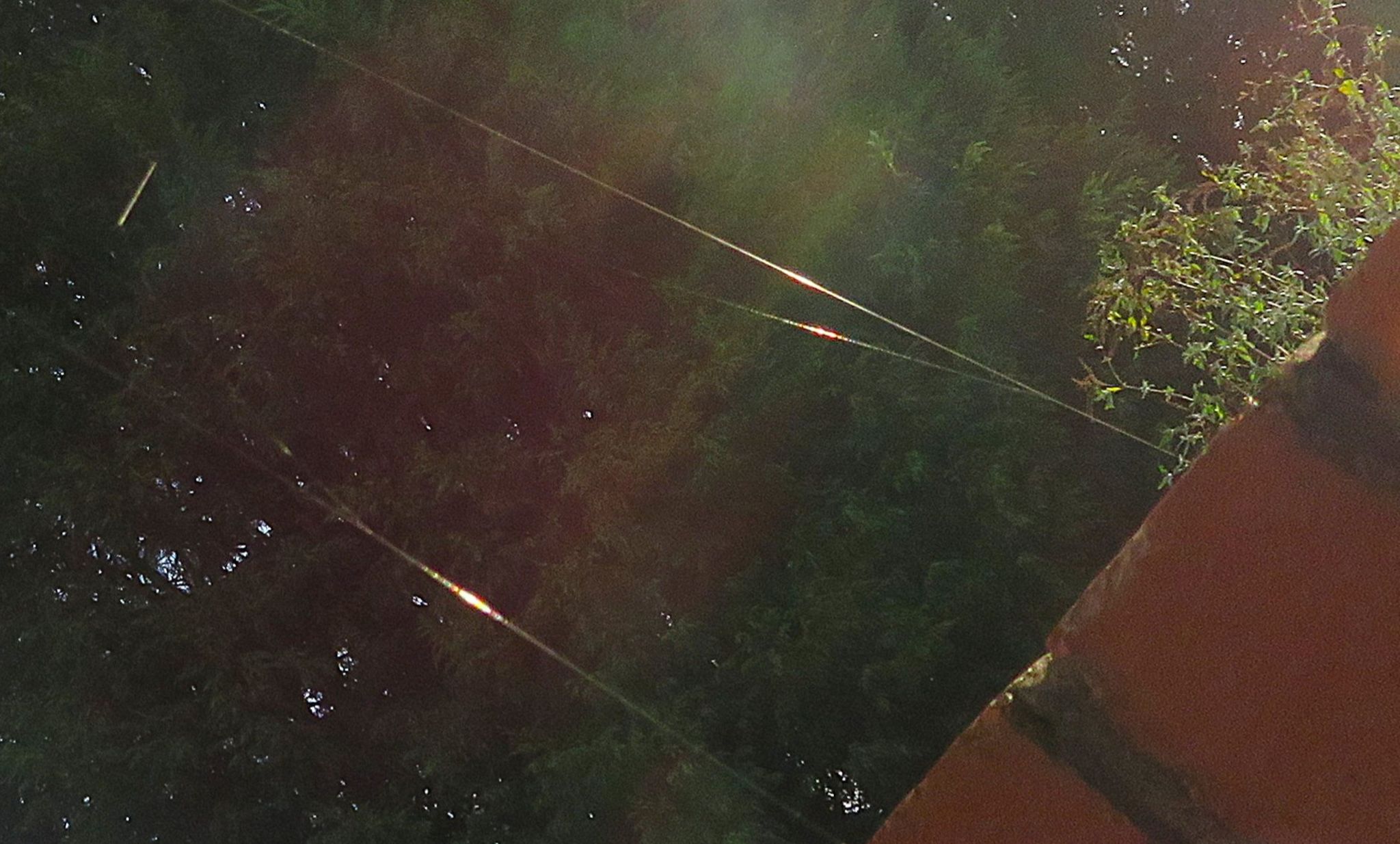 Community photo by Judith Gaffney | Birmingham UK