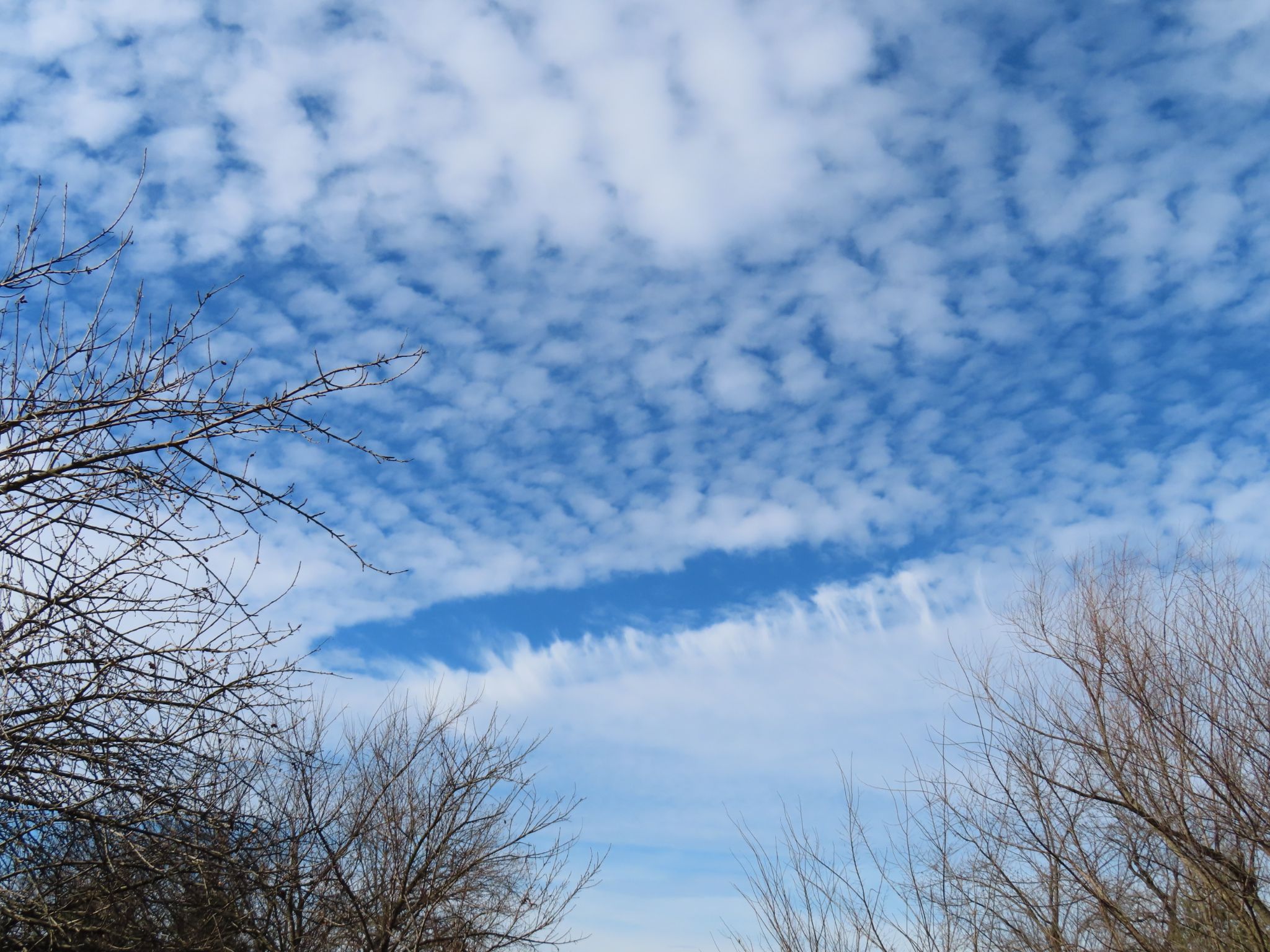 Community photo by Donna