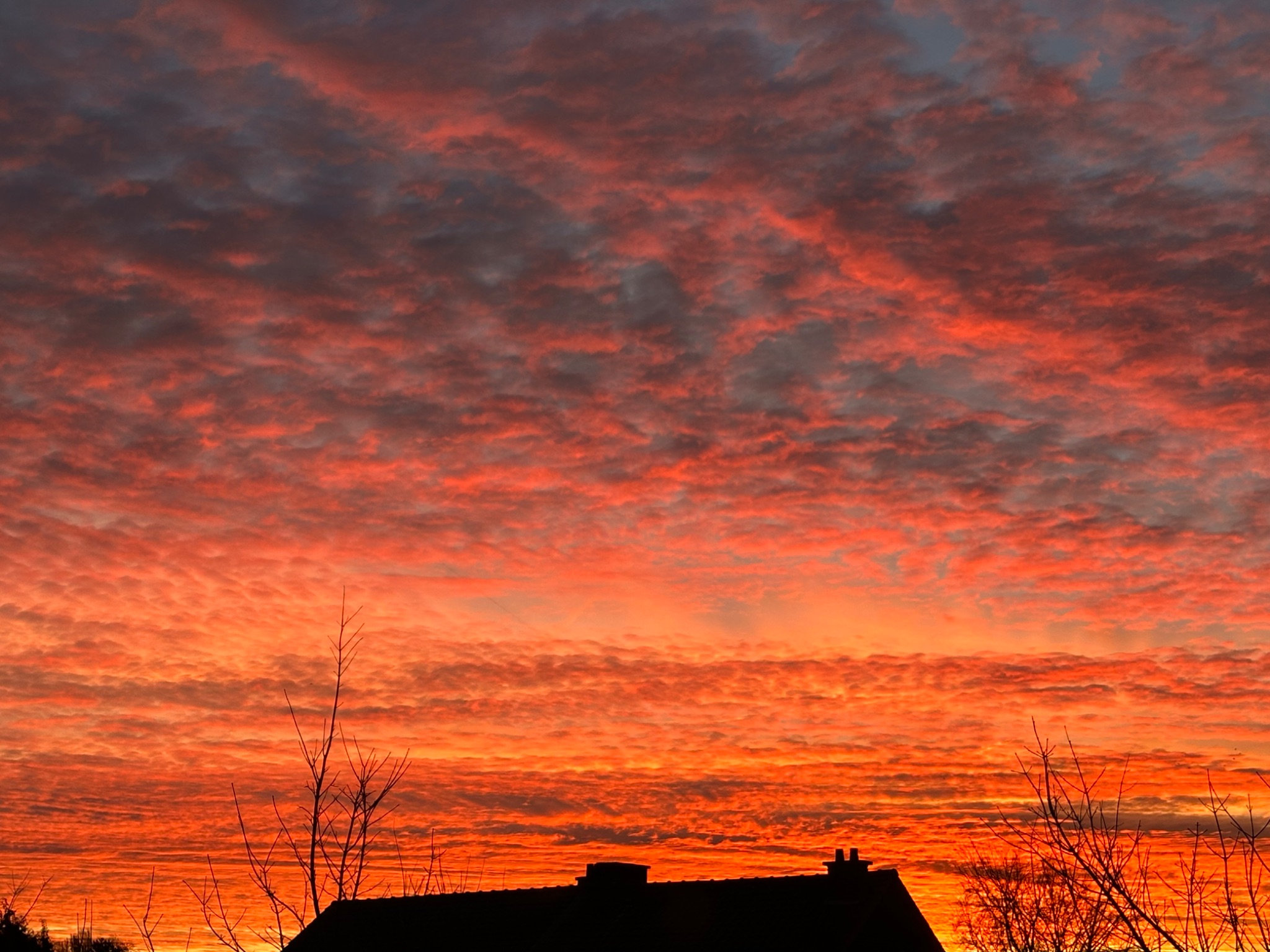 Community photo by Poonam