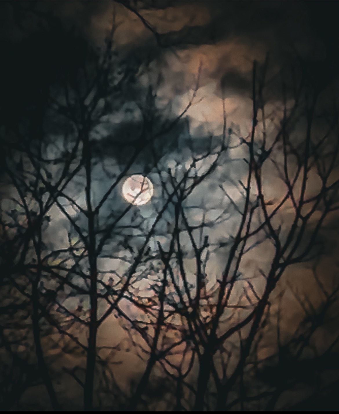 Community photo by Stephen Montag | Livingston, NJ