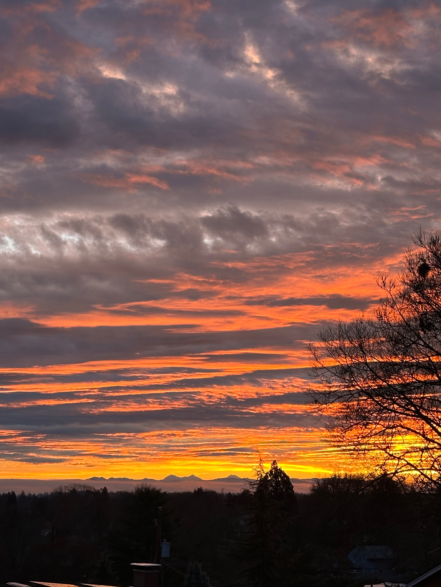 Community photo by Victoria