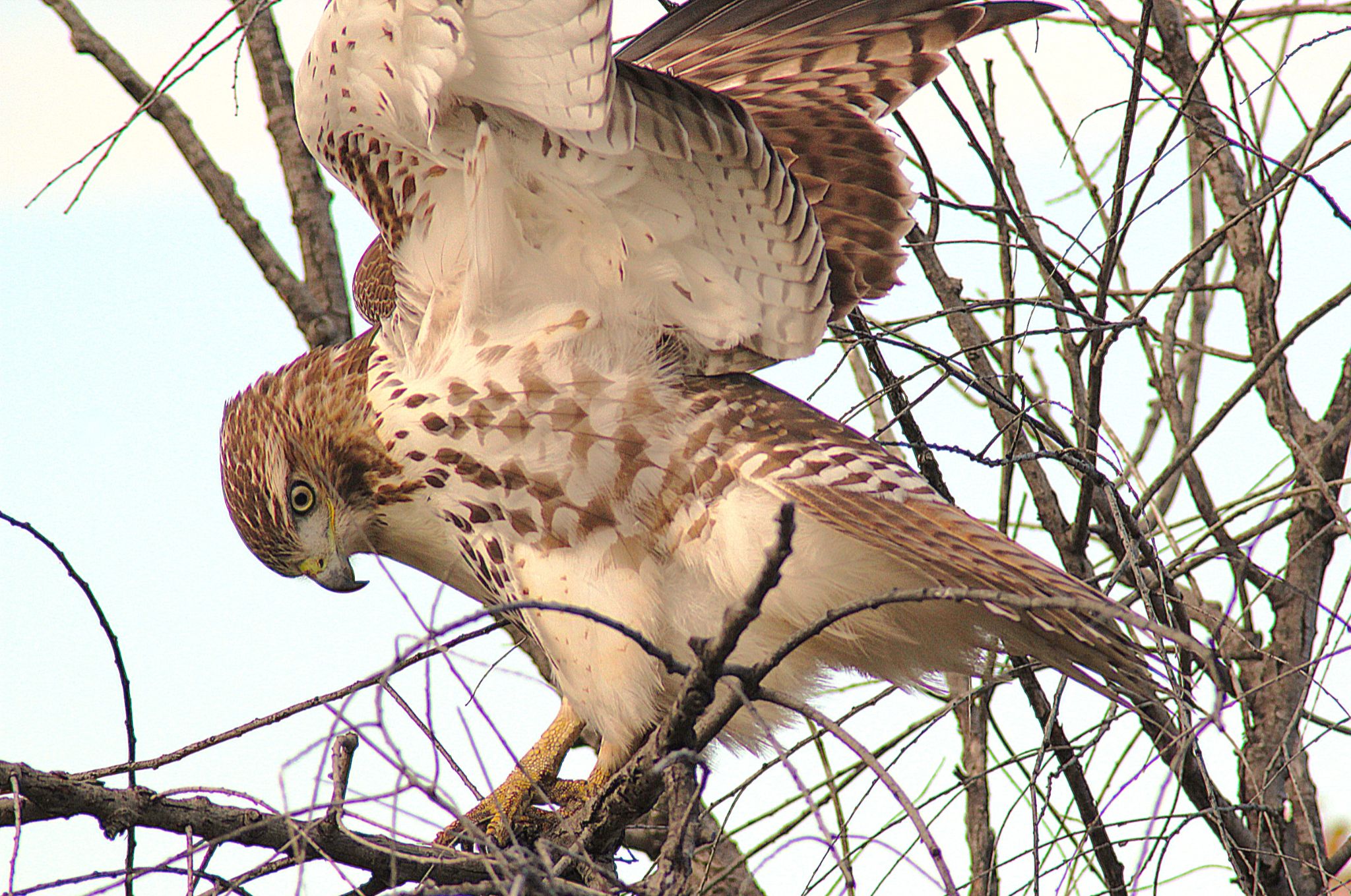 Community photo by Randy