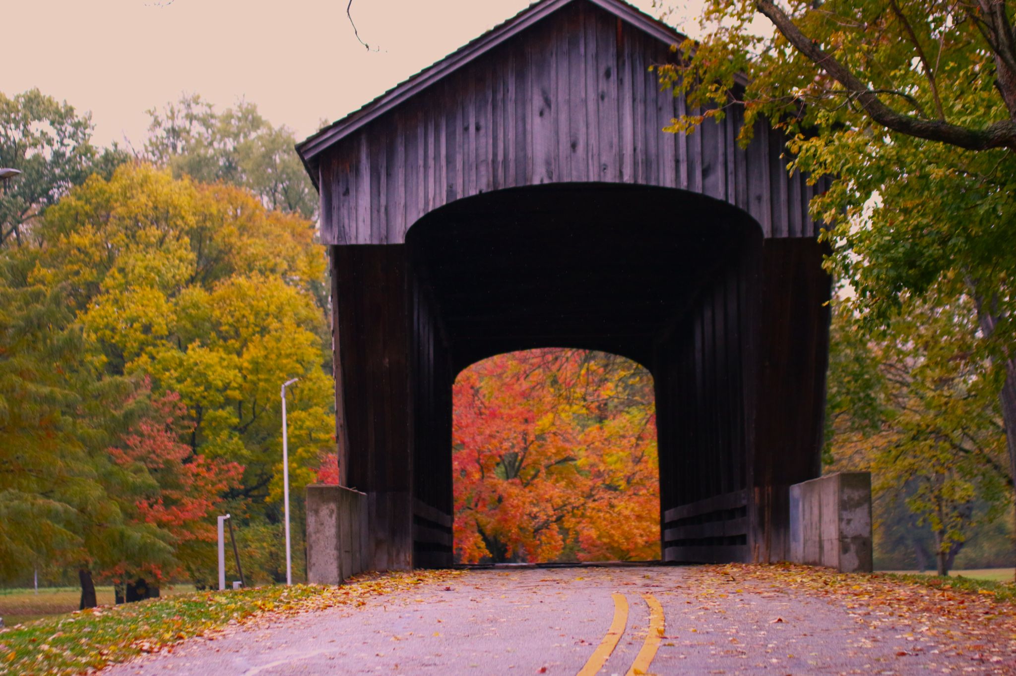 Community photo by Bill