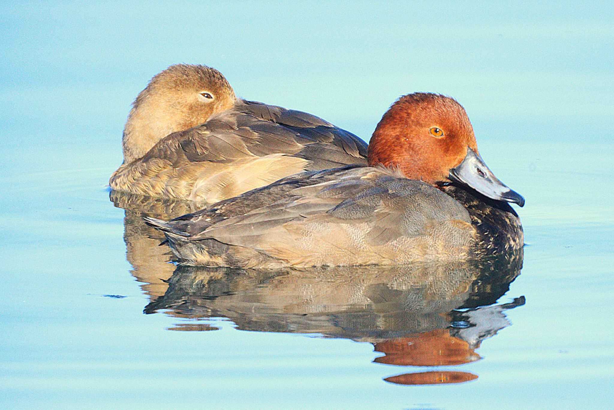 Community photo by Randy