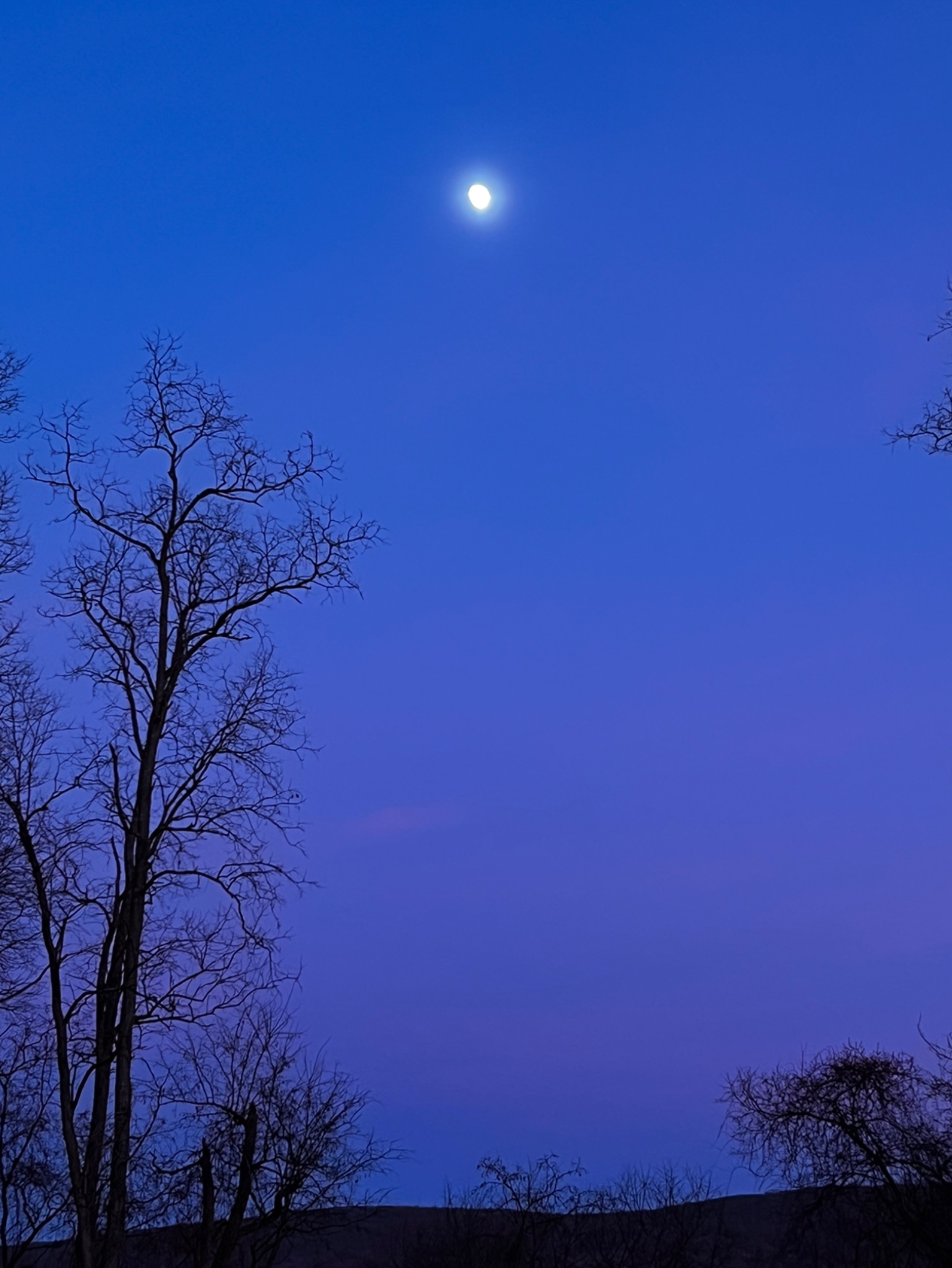 Community photo entitled Gibbous moon above Belt of Venus by Sudhir Sharma on 12/01/2025 at Stormville, NY