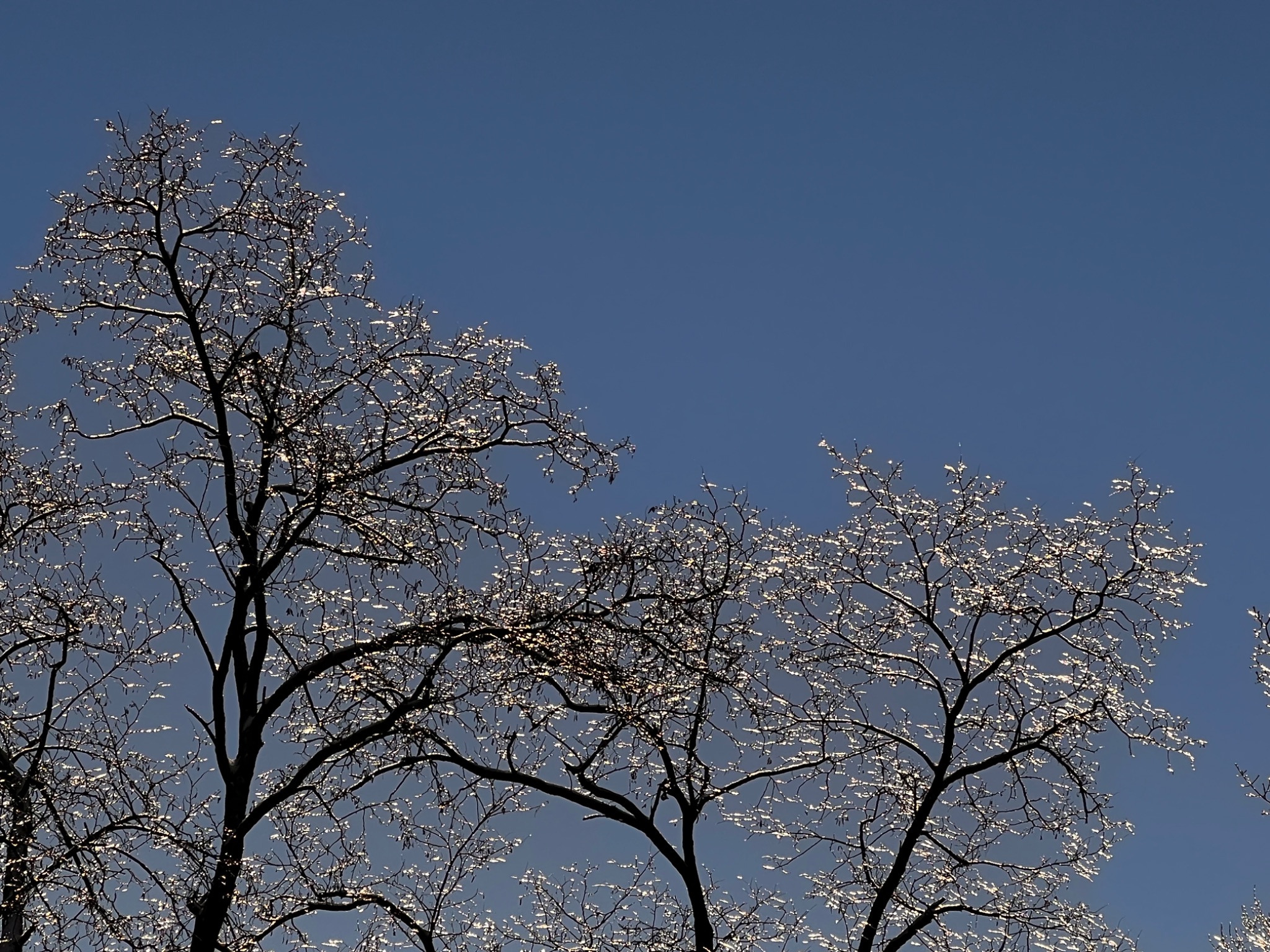Community photo by Sudhir Sharma | Stormville, NY
