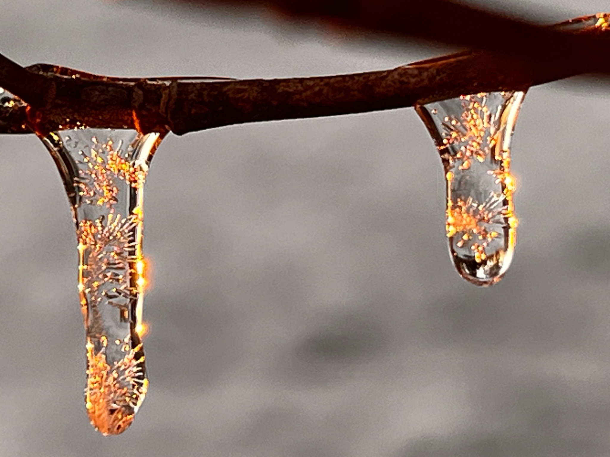 Community photo by Sudhir Sharma | Stormville, NY