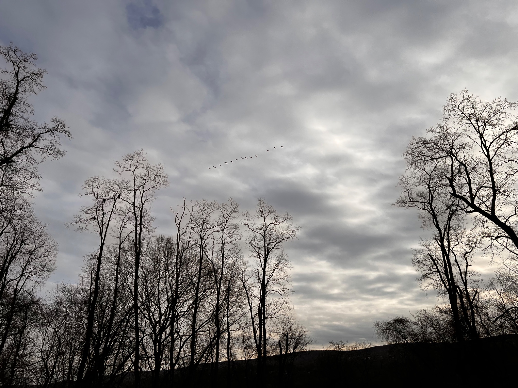 Community photo by Sudhir Sharma | Stormville, NY