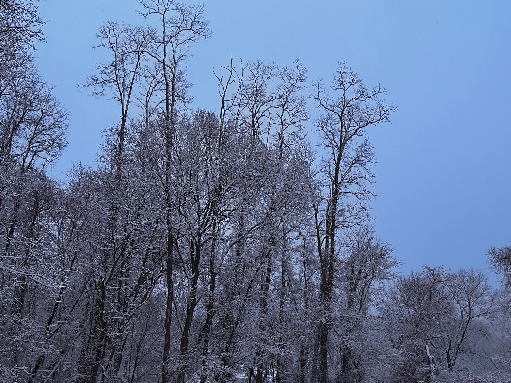 Community photo by Sudhir Sharma | Stormville, NY