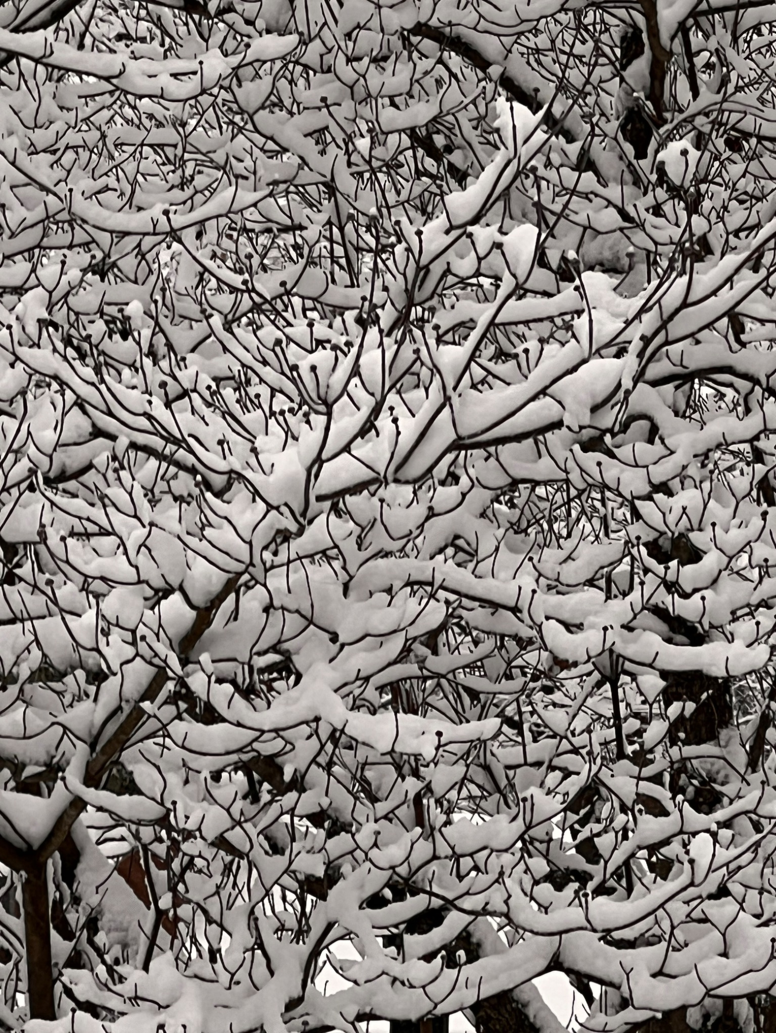 Community photo by Sudhir