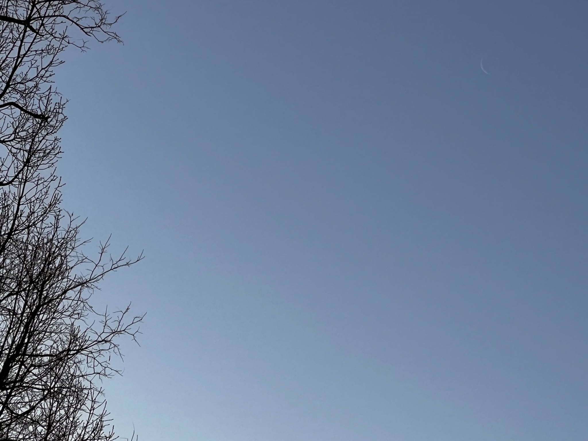 Community photo by Sudhir Sharma | Stormville, NY