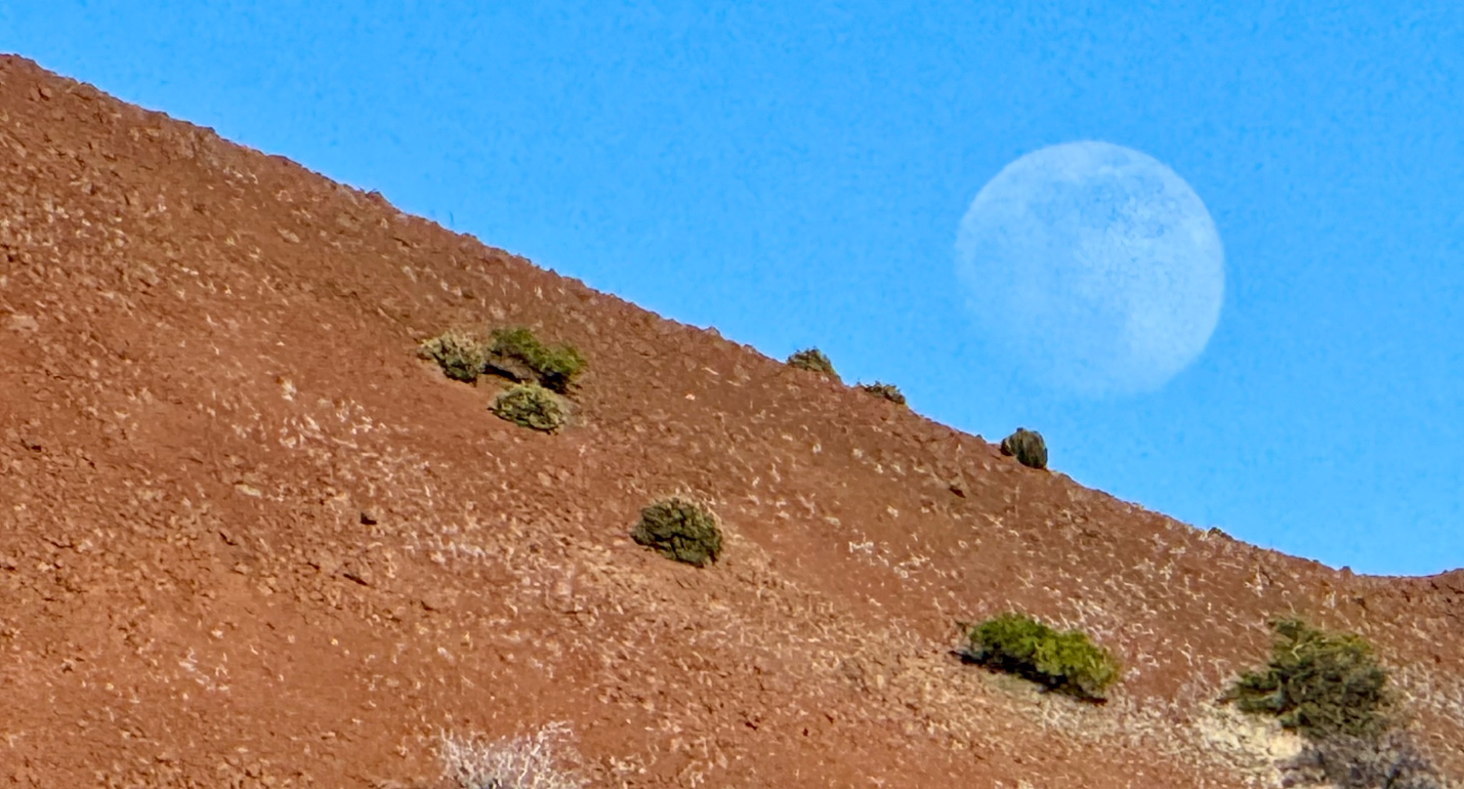 Community photo by Paul C. Peh | Hilo, HI, USA