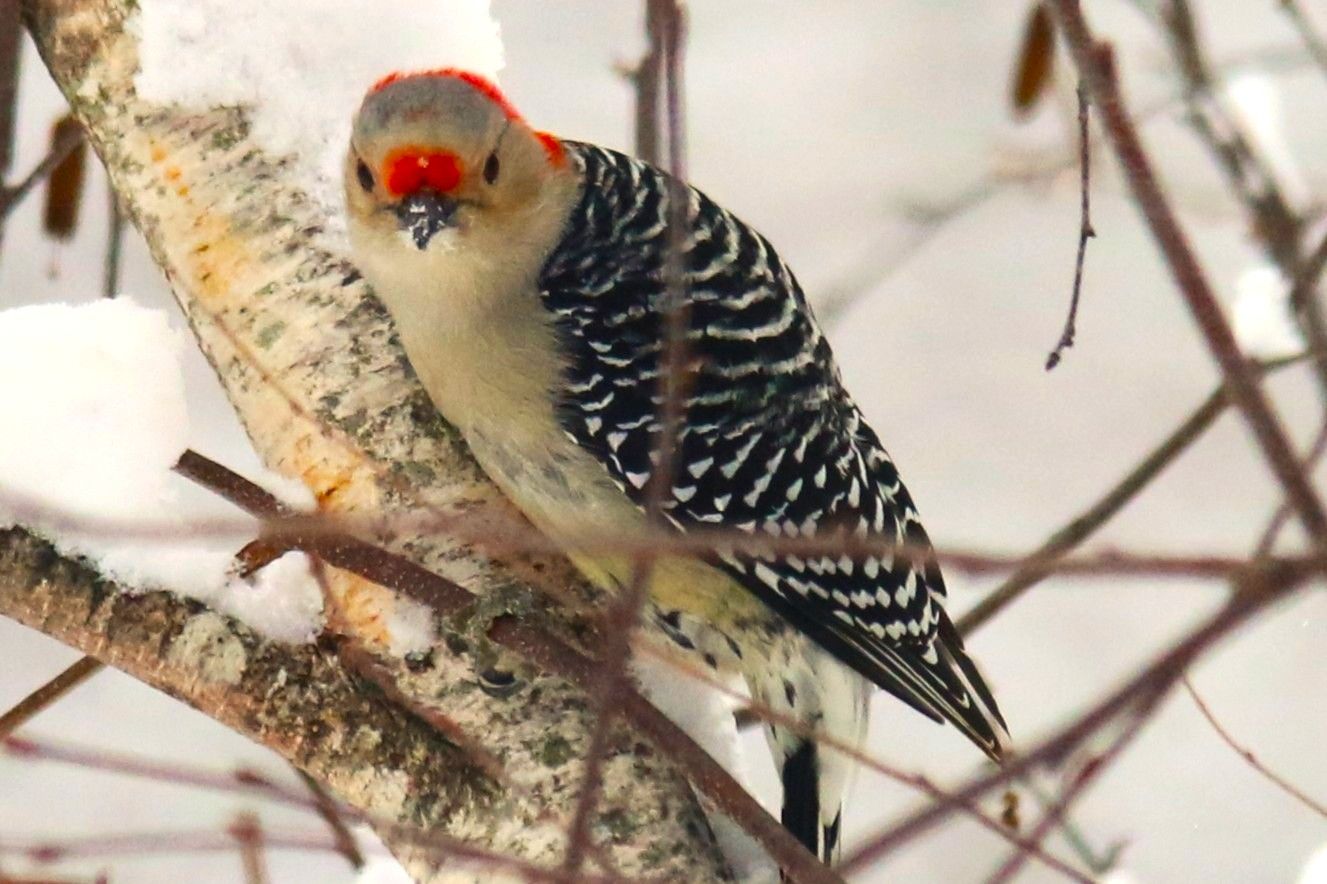 Community photo by Bill