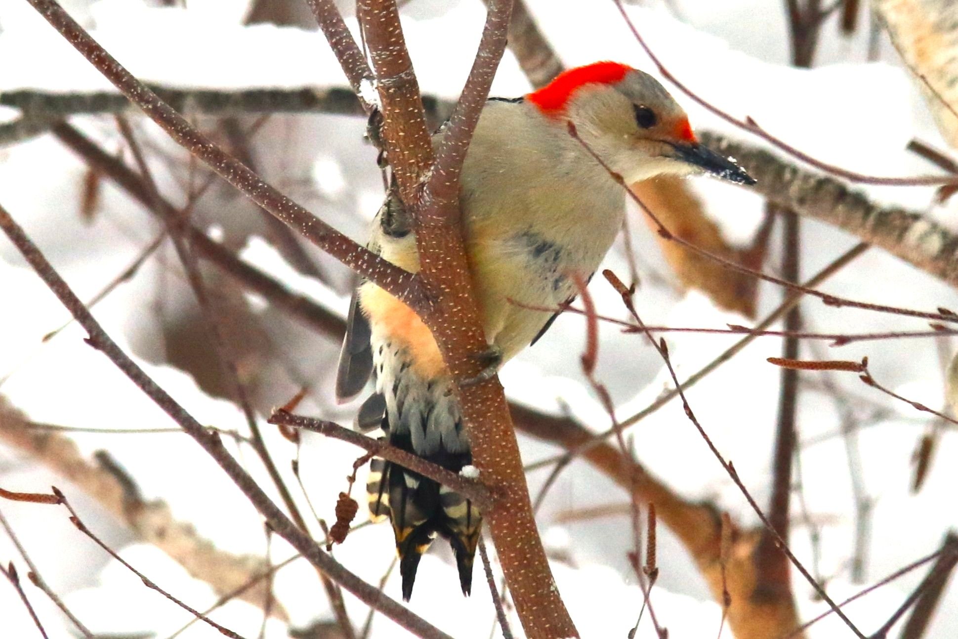 Community photo by Bill Kozar | Taylorsville, Indiana. USA