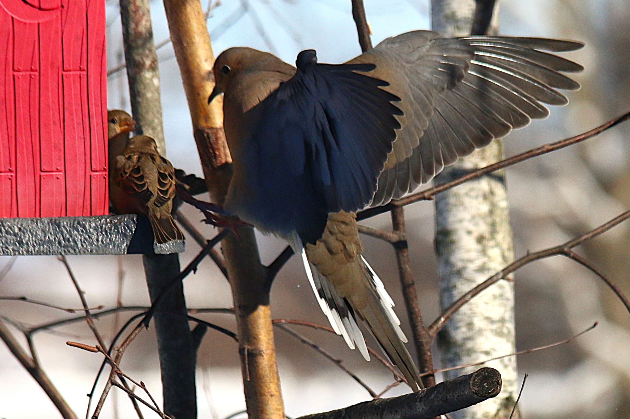 Community photo by Bill