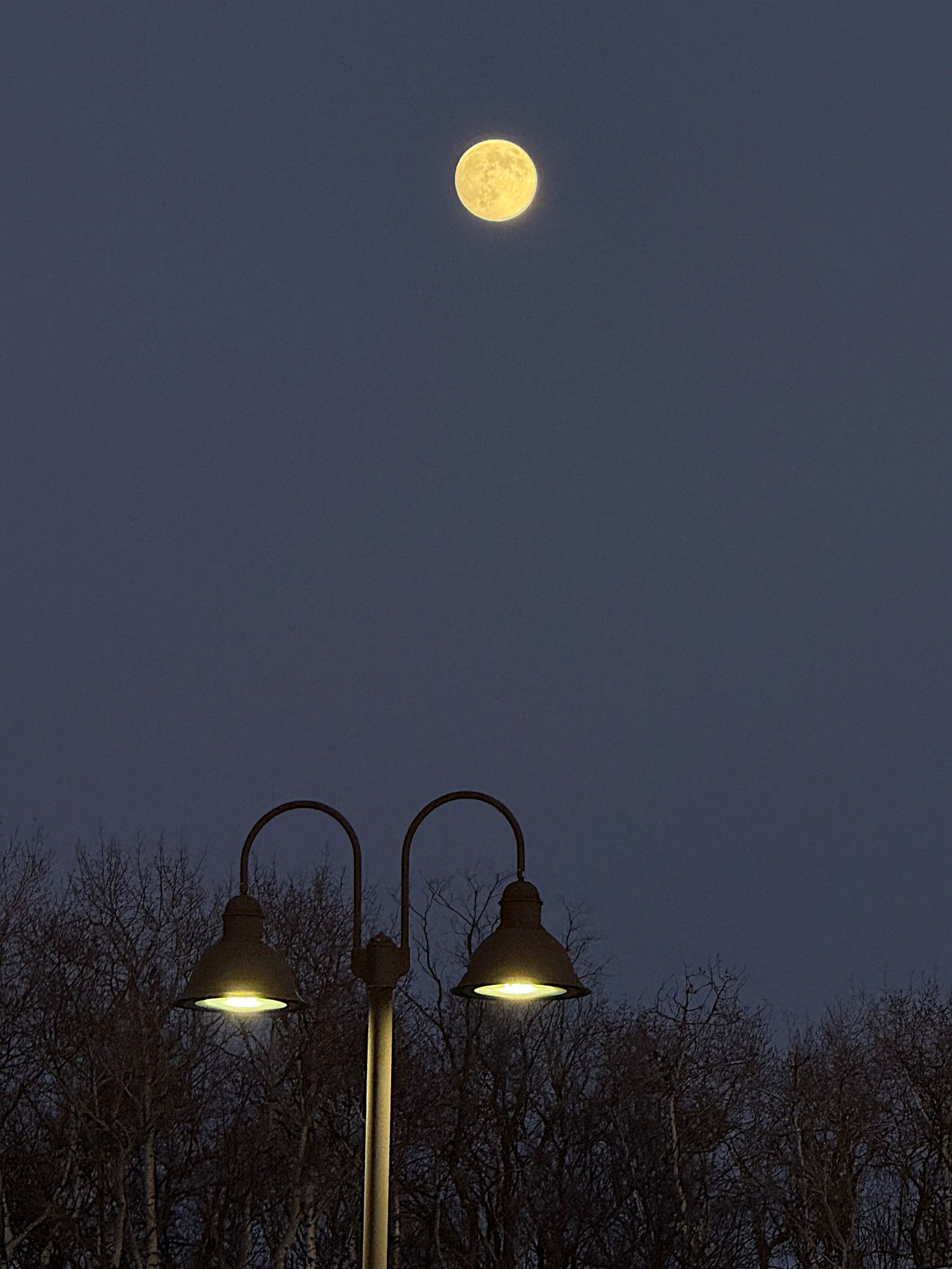 Community photo by Asha Prasad | Minnesota, USA
