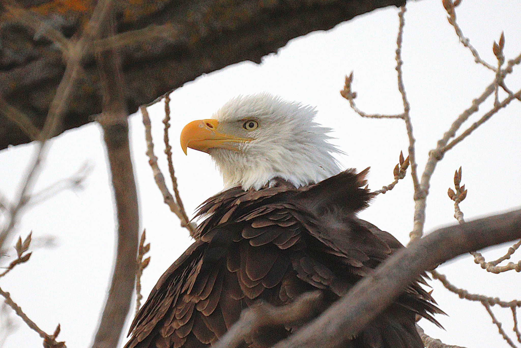 Community photo by Randy