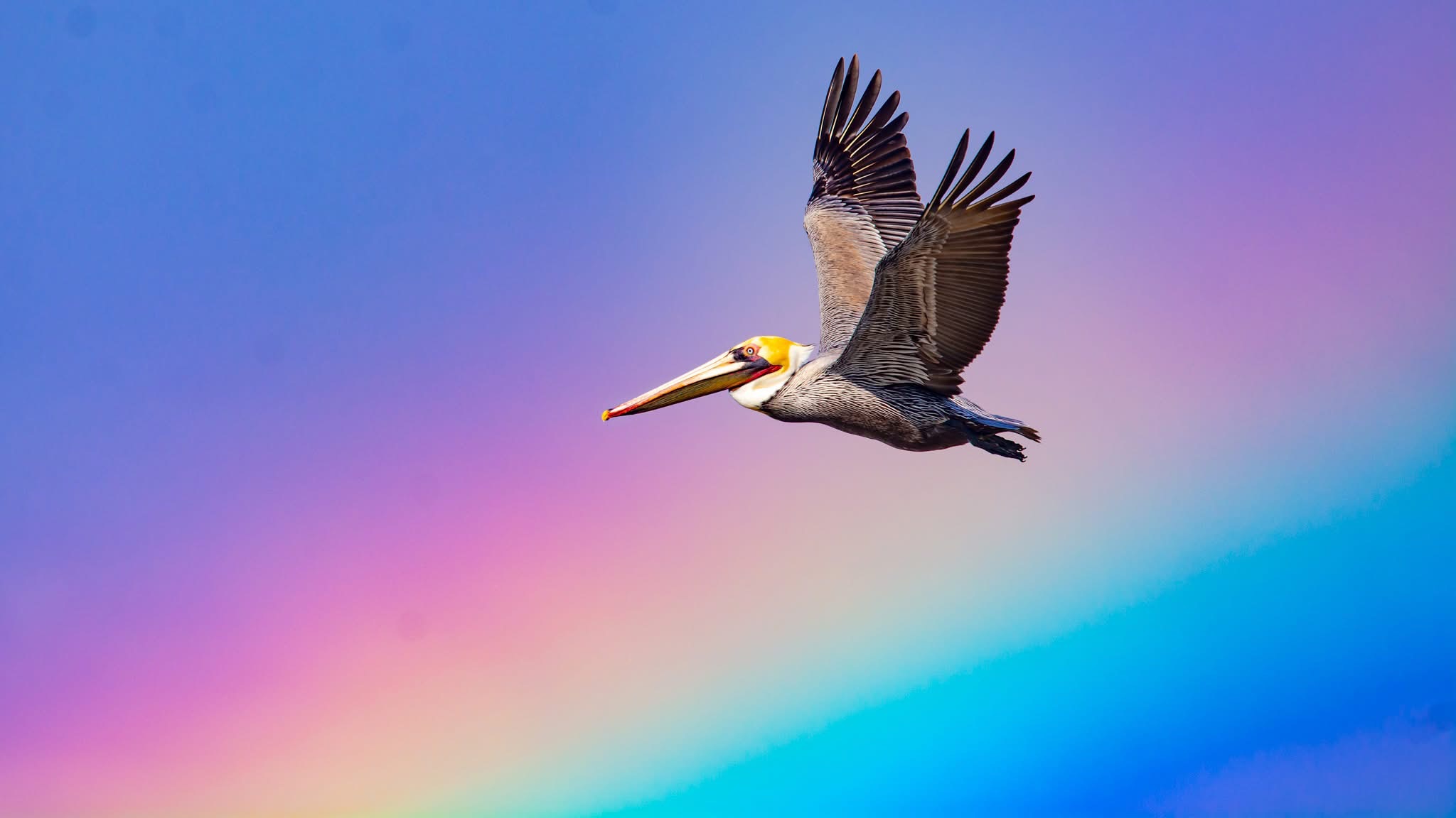 Community photo by Jim