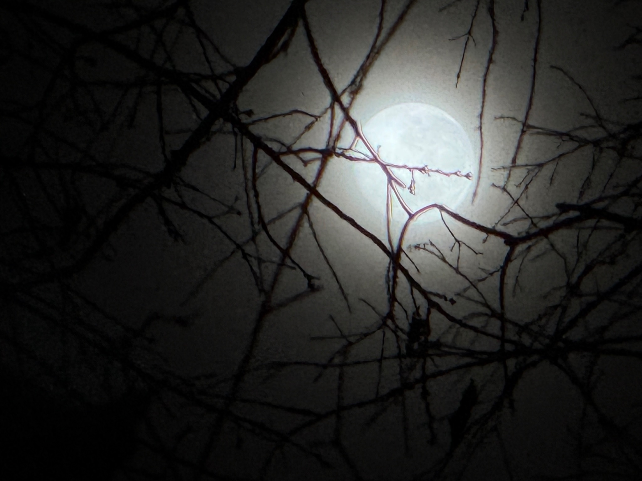 Community photo by Nancy Case | Boone County, Missouri