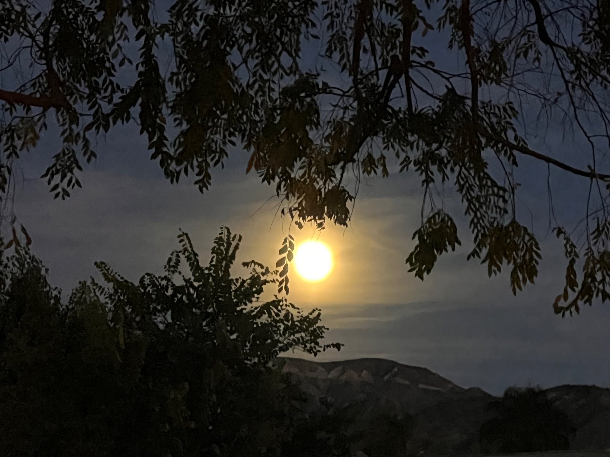 Community photo by Dolores Moreno | Highland, CA