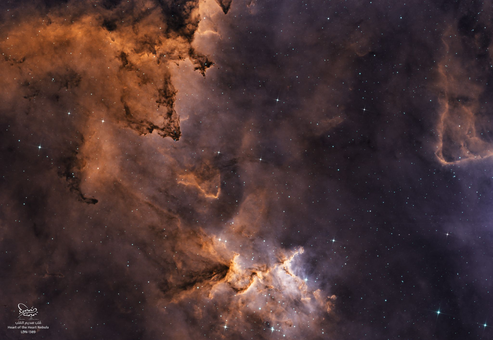 Community photo by Tameem