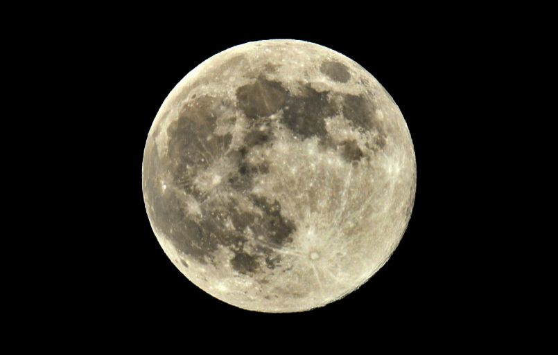 Community photo by Lorraine Boyd | Delmar, New York