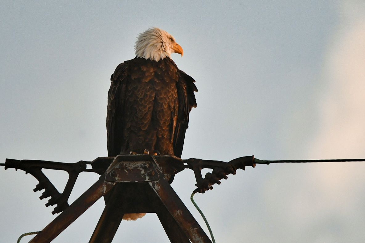 Community photo by Lorraine