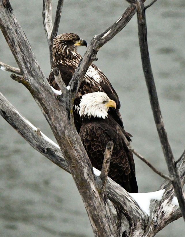 Community photo by Lorraine