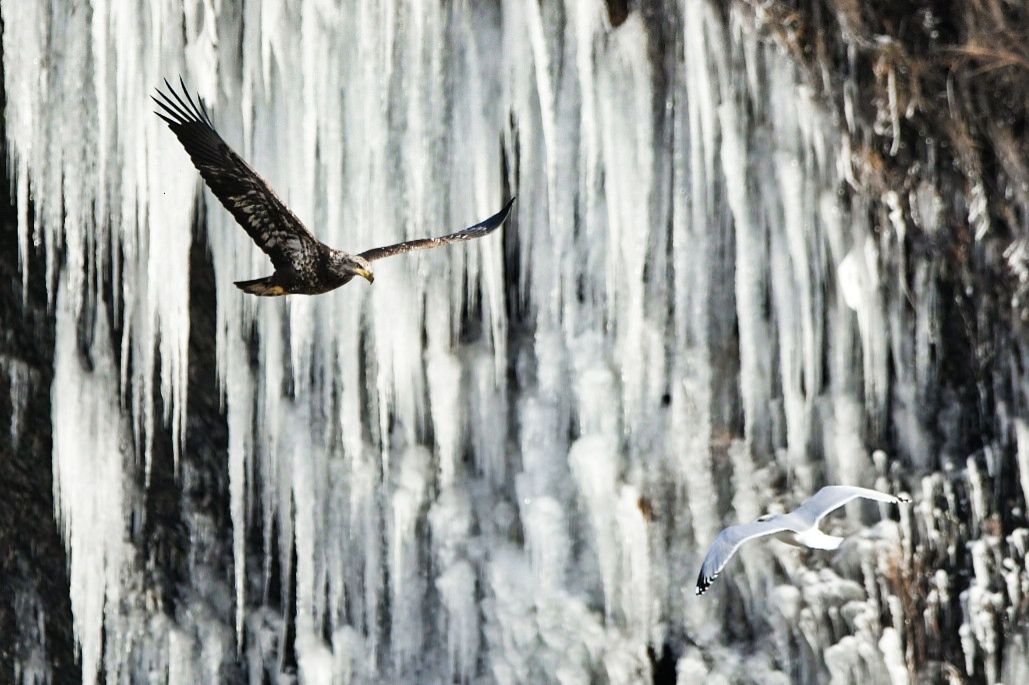 Community photo by Lorraine Boyd | Cohoes, New York